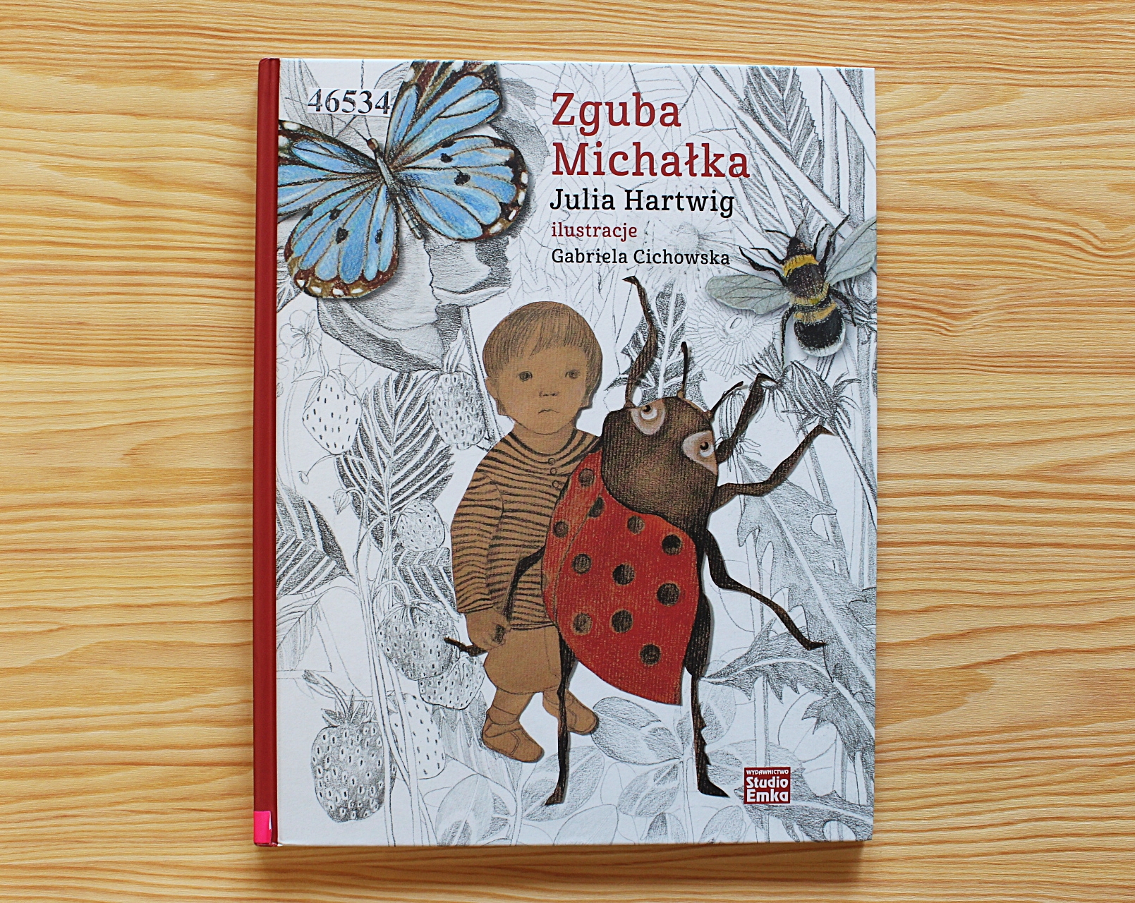 Zguba Michałka