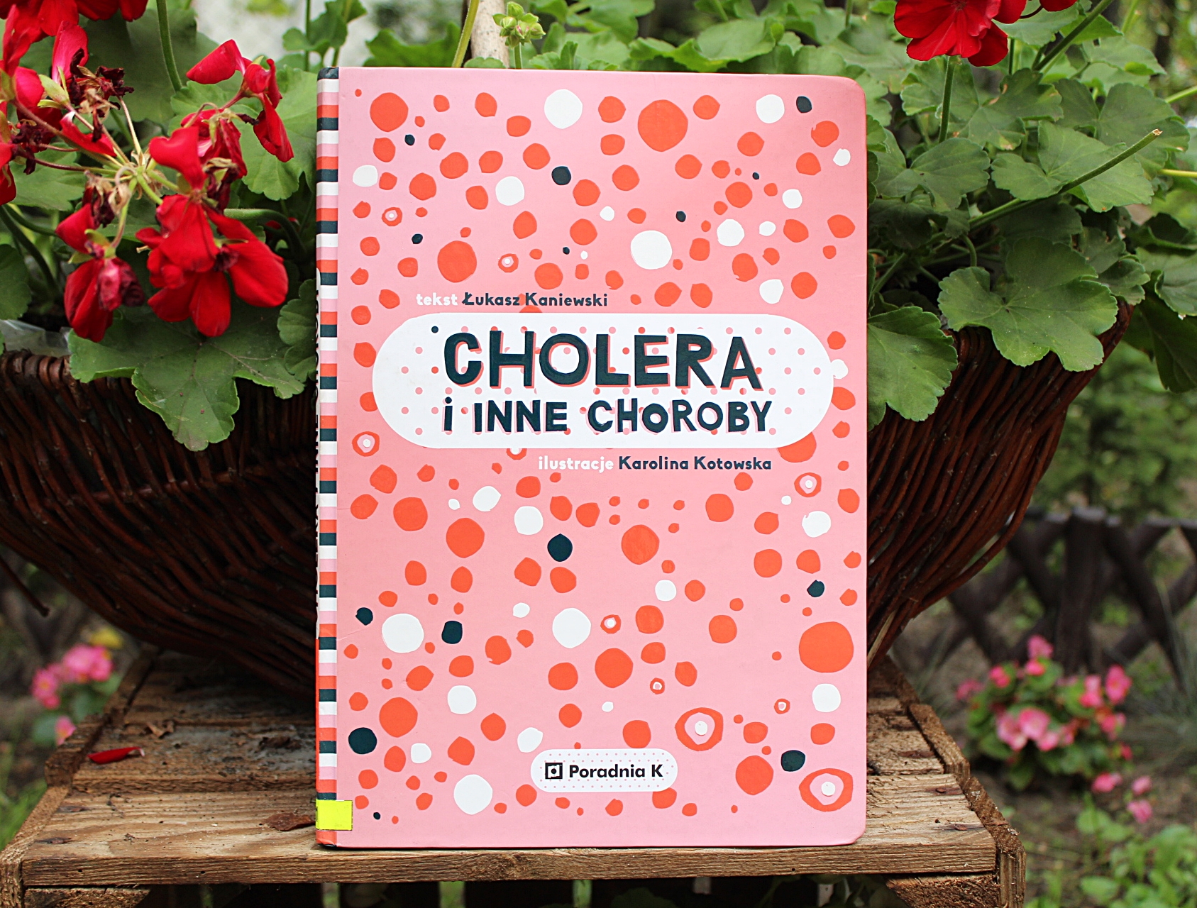Cholera i inne choroby