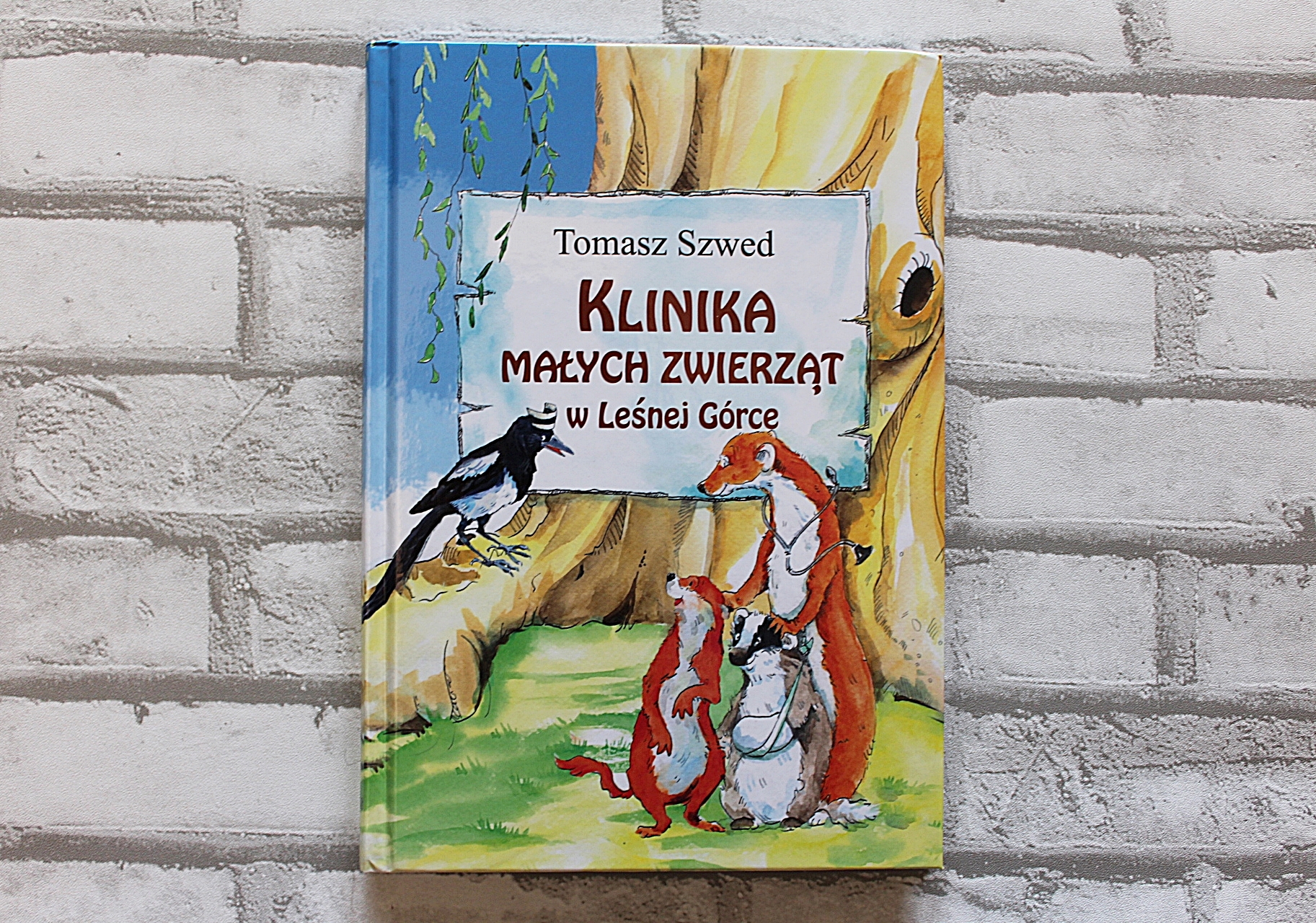 Klinika Małych Zwierząt w Leśnej Górce