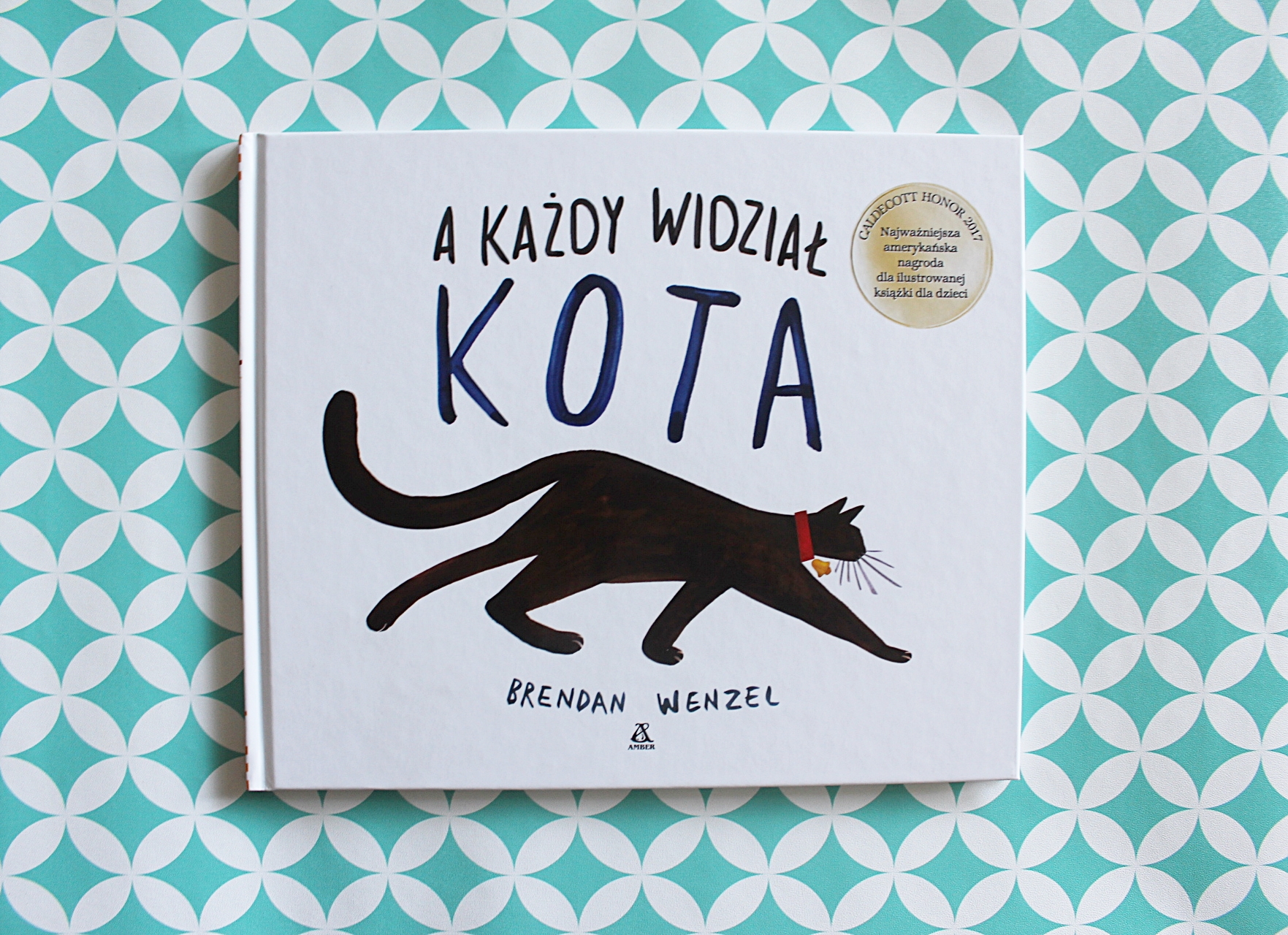 A każdy widział kota