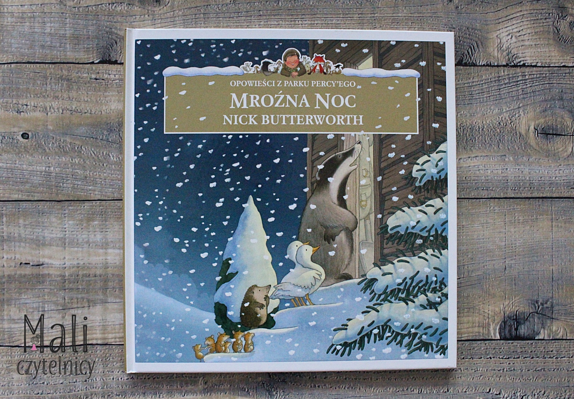 Mroźna noc