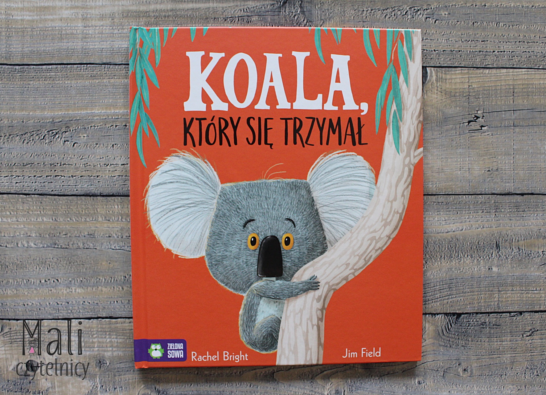 Koala, który się trzymał