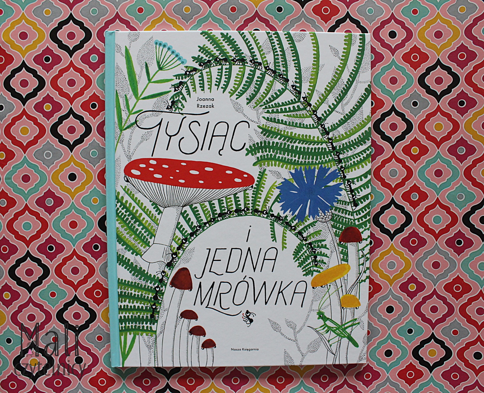 Tysiąc i jedna mrówka