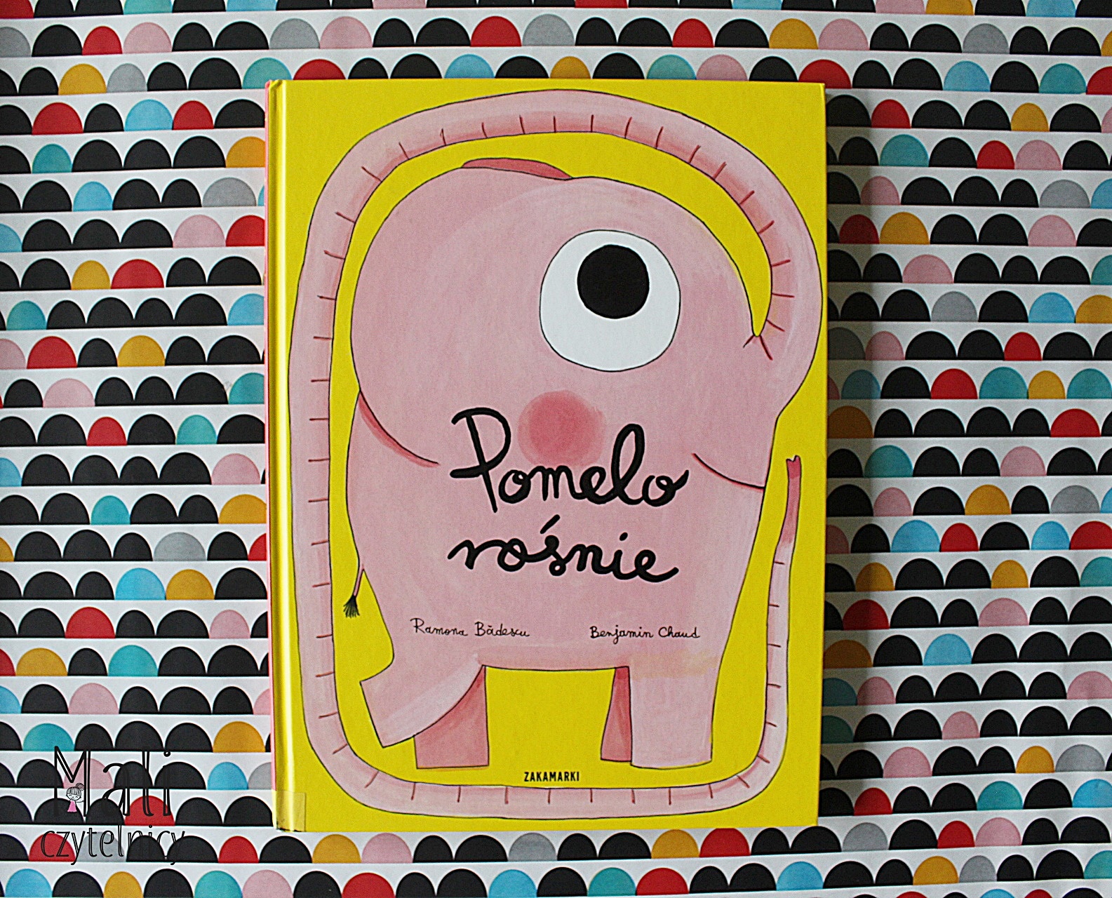 Pomelo rośnie