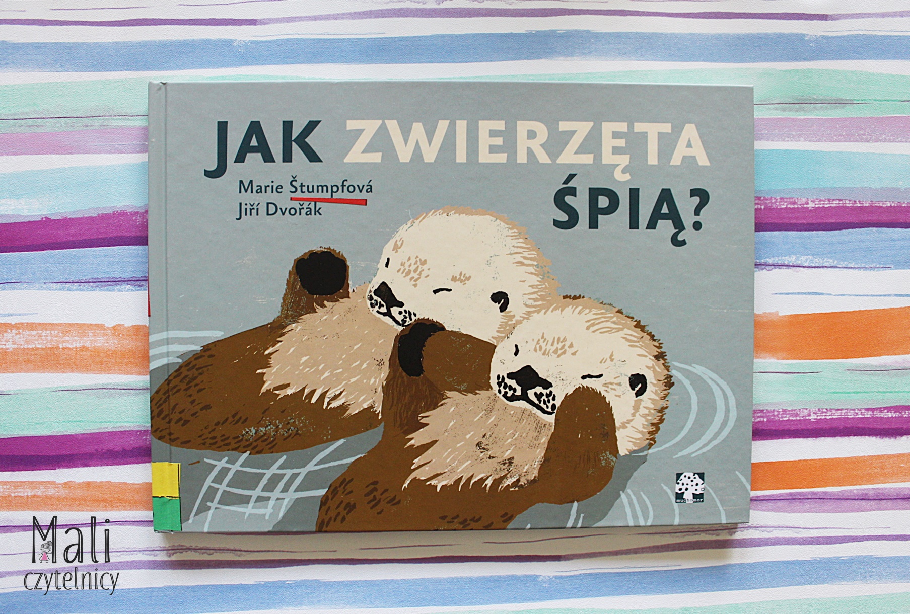 Jak zwierzęta śpią?