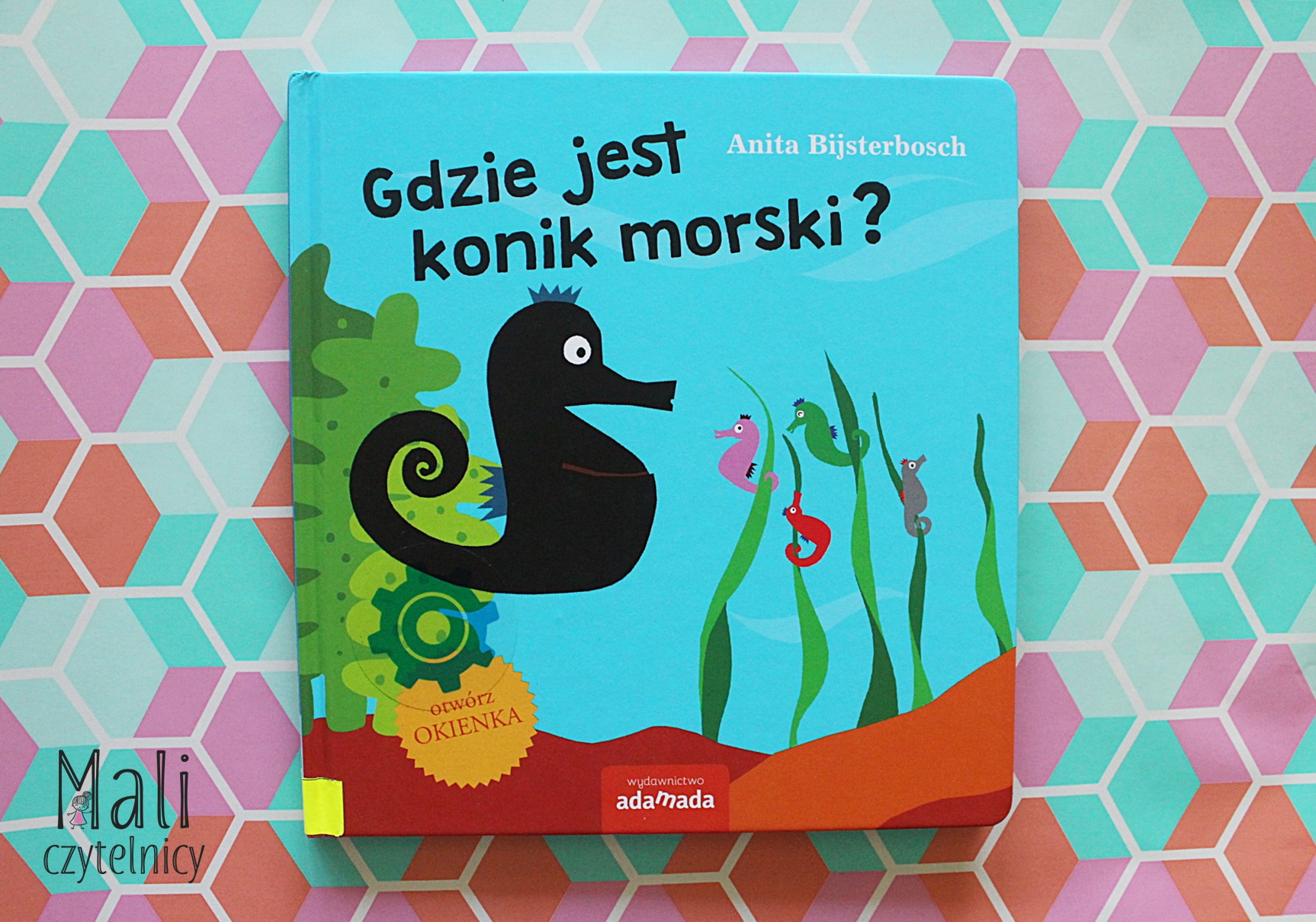 Gdzie jest konik morski?