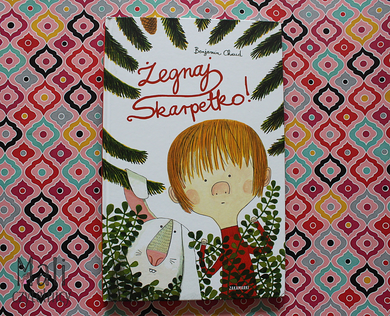 Żegnaj Skarpetko!