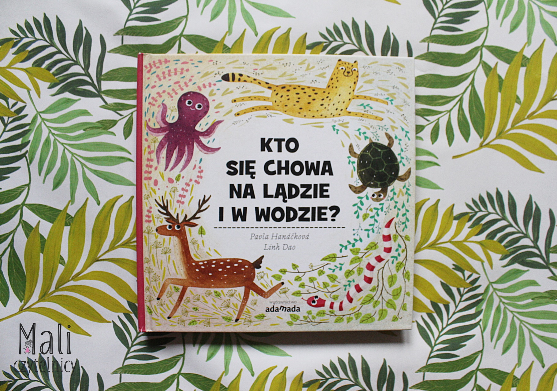 Kto się chowa na lądzie i w wodzie?
