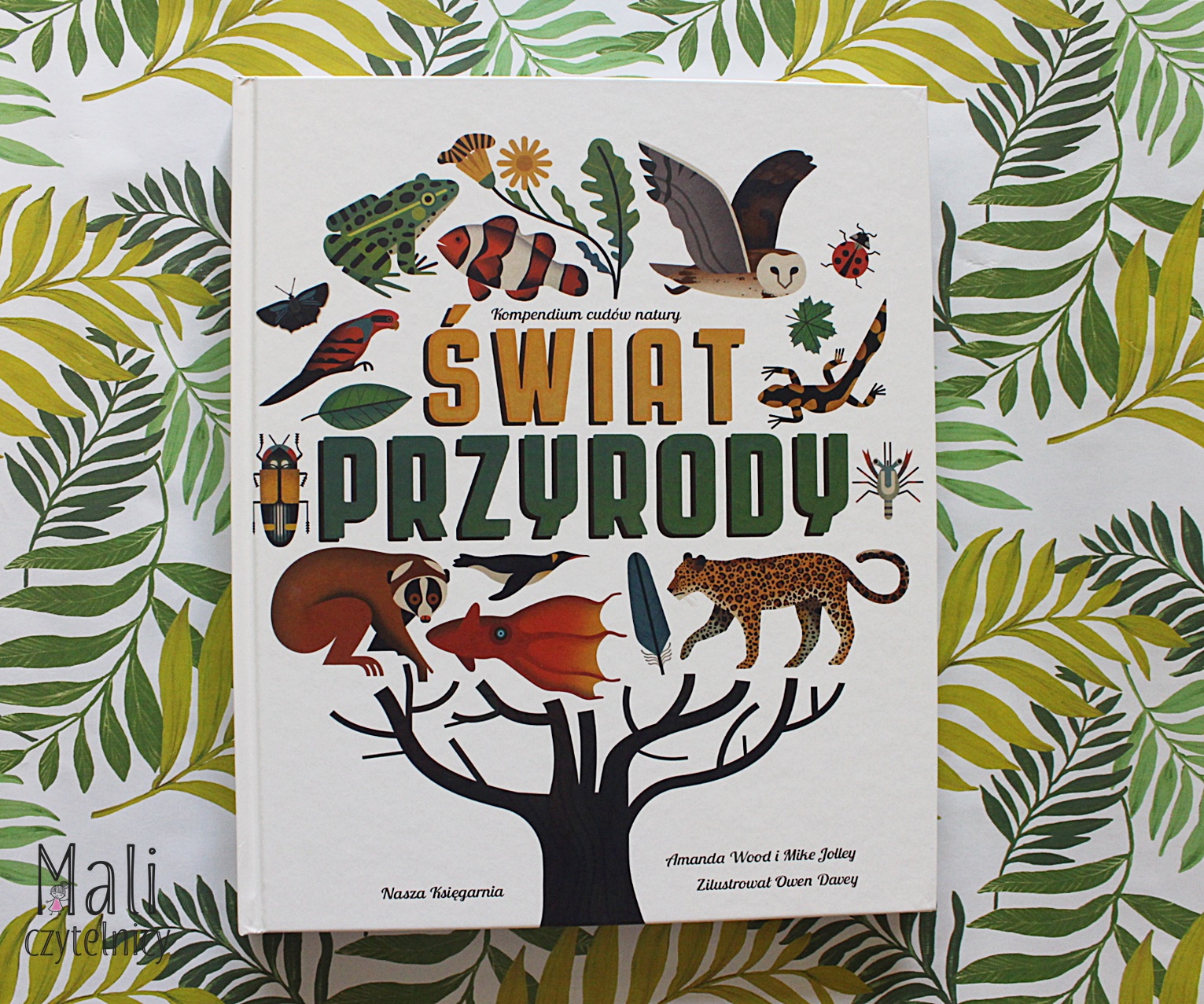 Świat przyrody