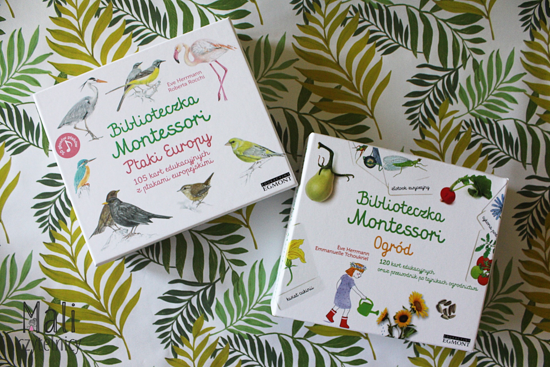 Biblioteczka Montessori: Ptaki Europy i Ogród