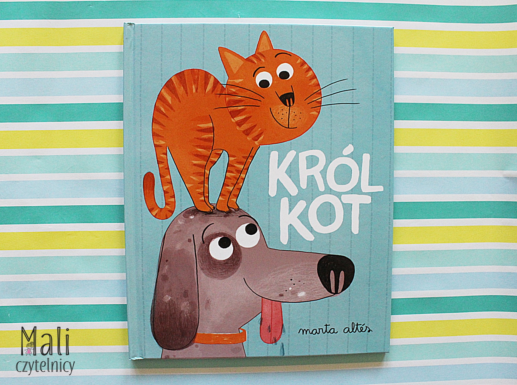 Król kot