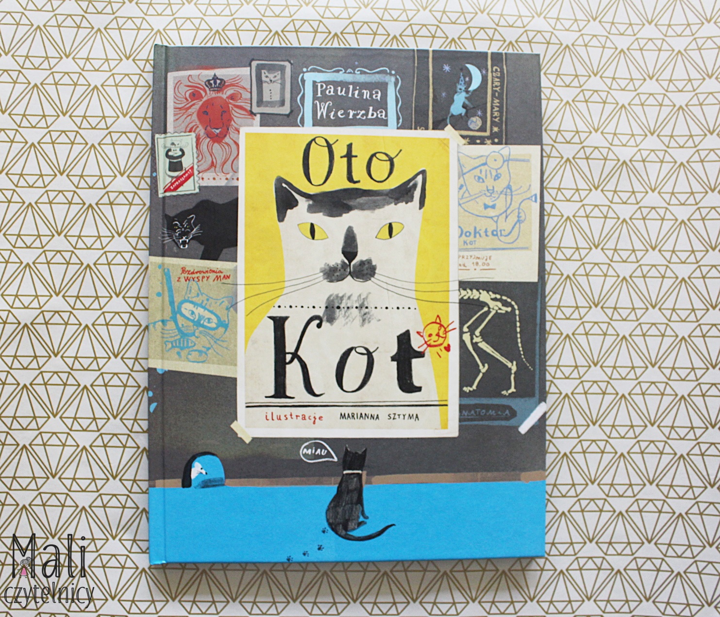 Oto Kot