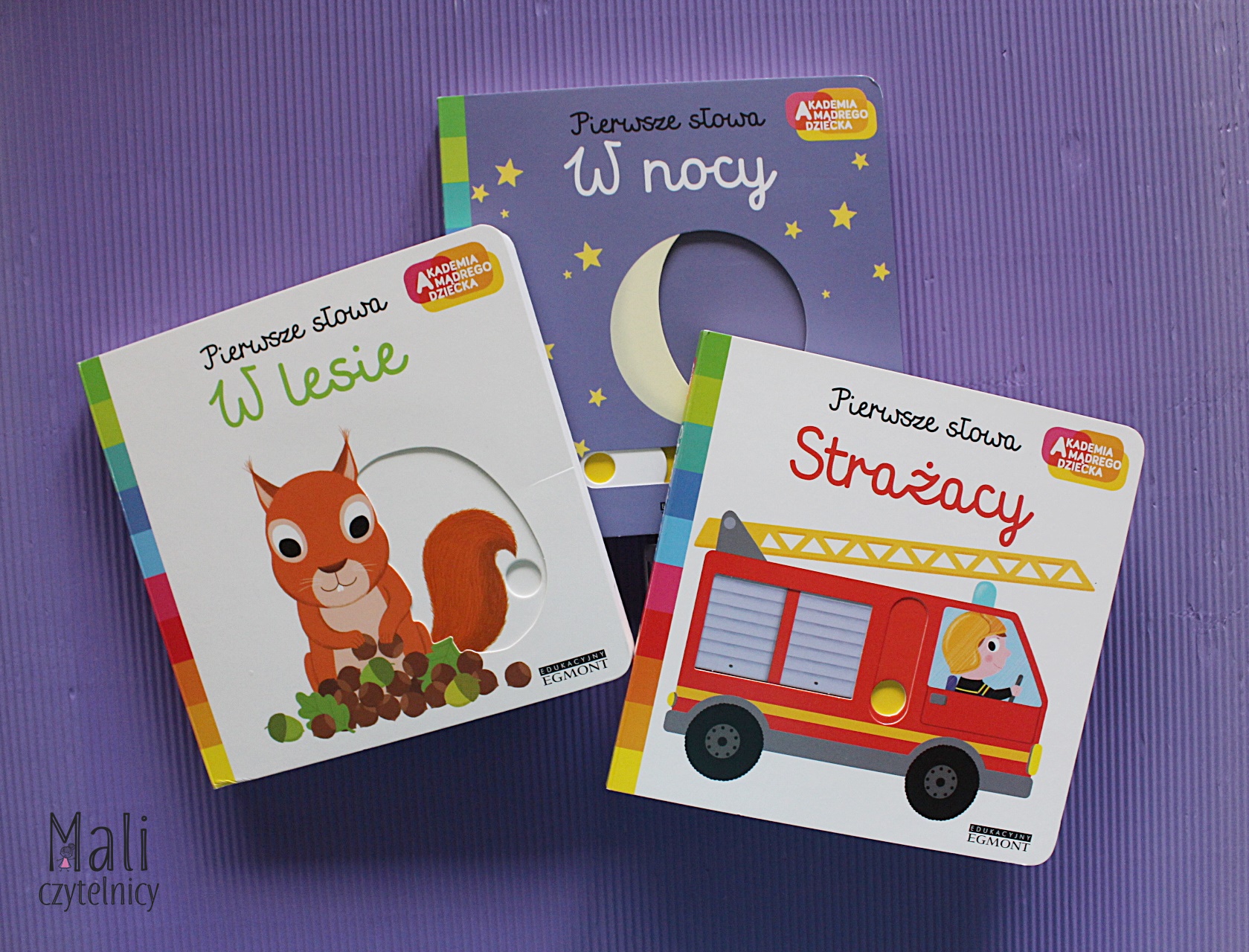 Seria Pierwsze słowa: Strażacy / W lesie / W nocy