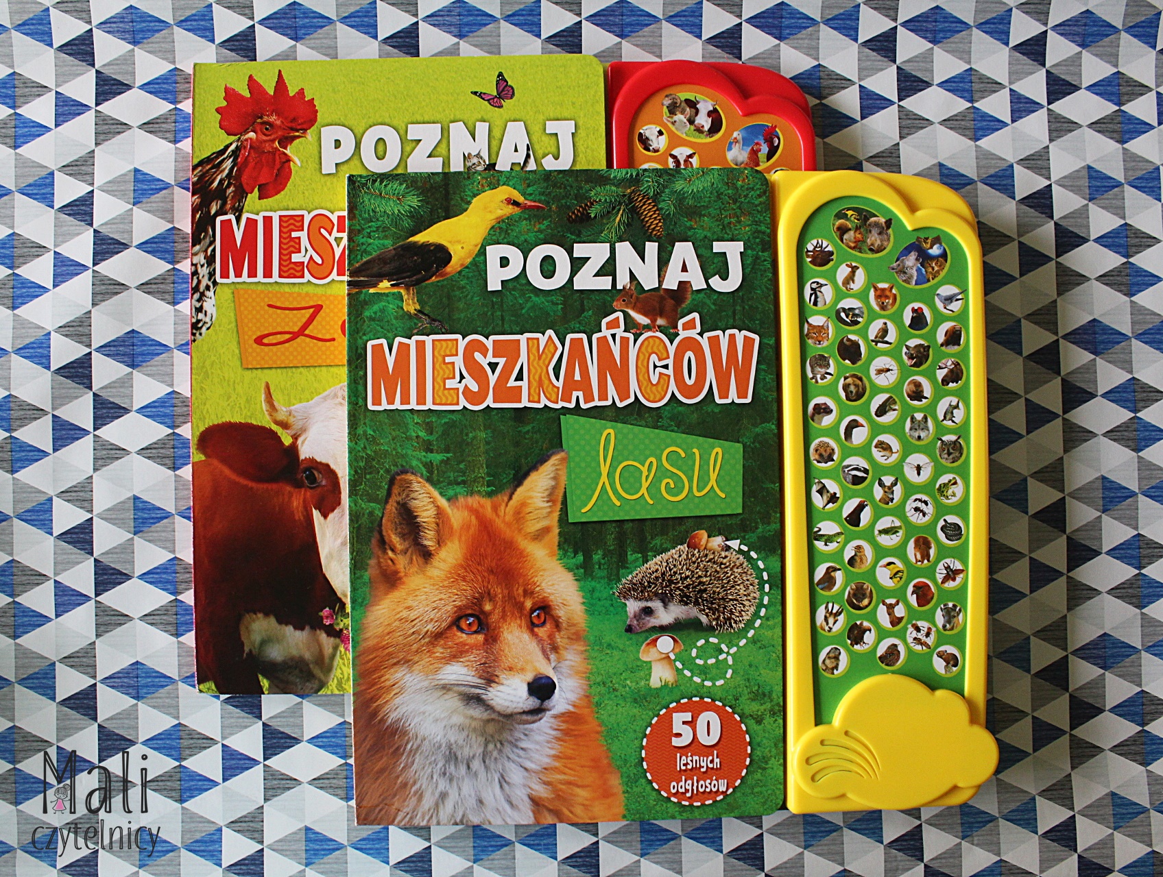 Poznaj mieszkańców zagrody / Poznaj mieszkańców lasu