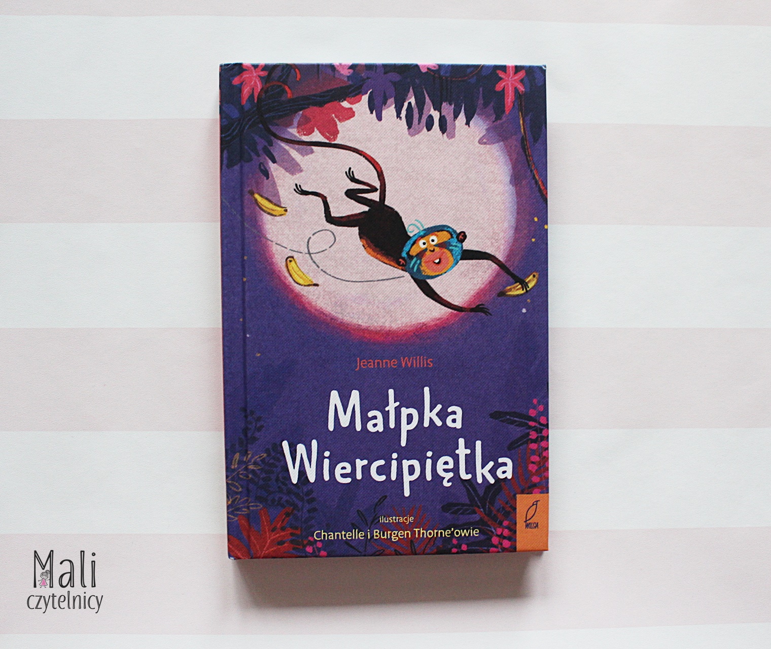Małpka Wiercipiętka