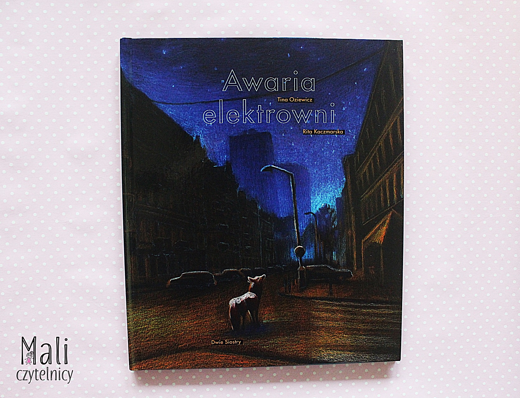 Awaria elektrowni