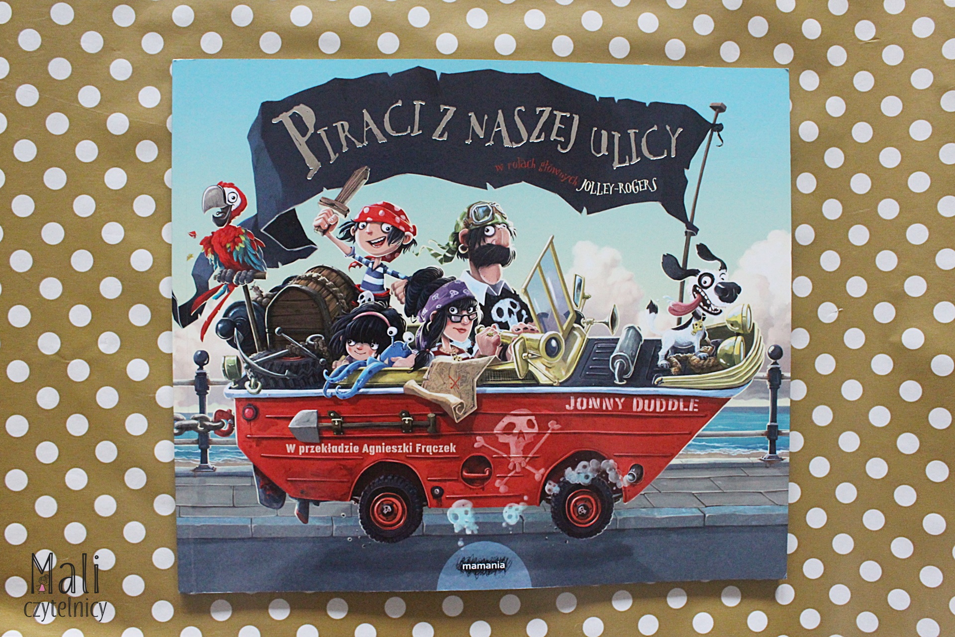 Piraci z naszej ulicy