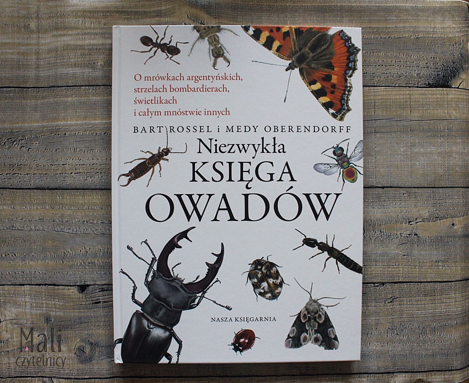 Niezwykła księga owadów