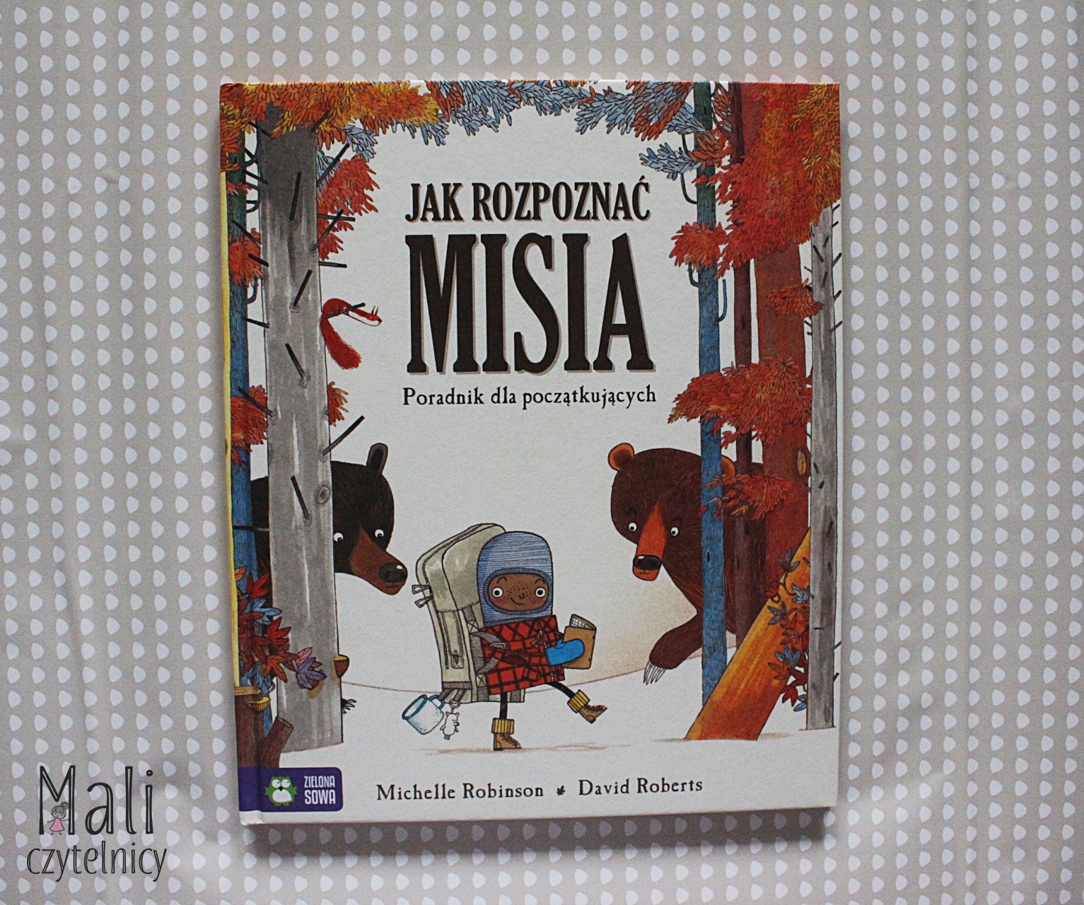 Jak rozpoznać misia. Poradnik dla początkujących