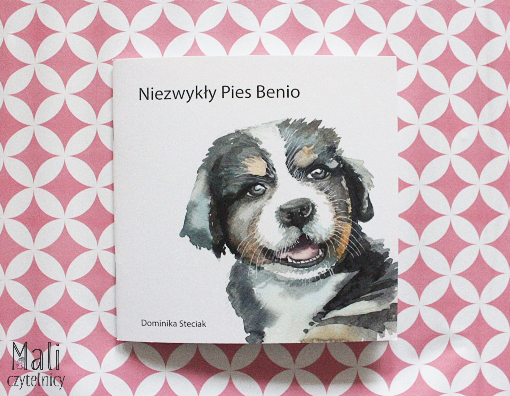 Niezwykły pies Benio