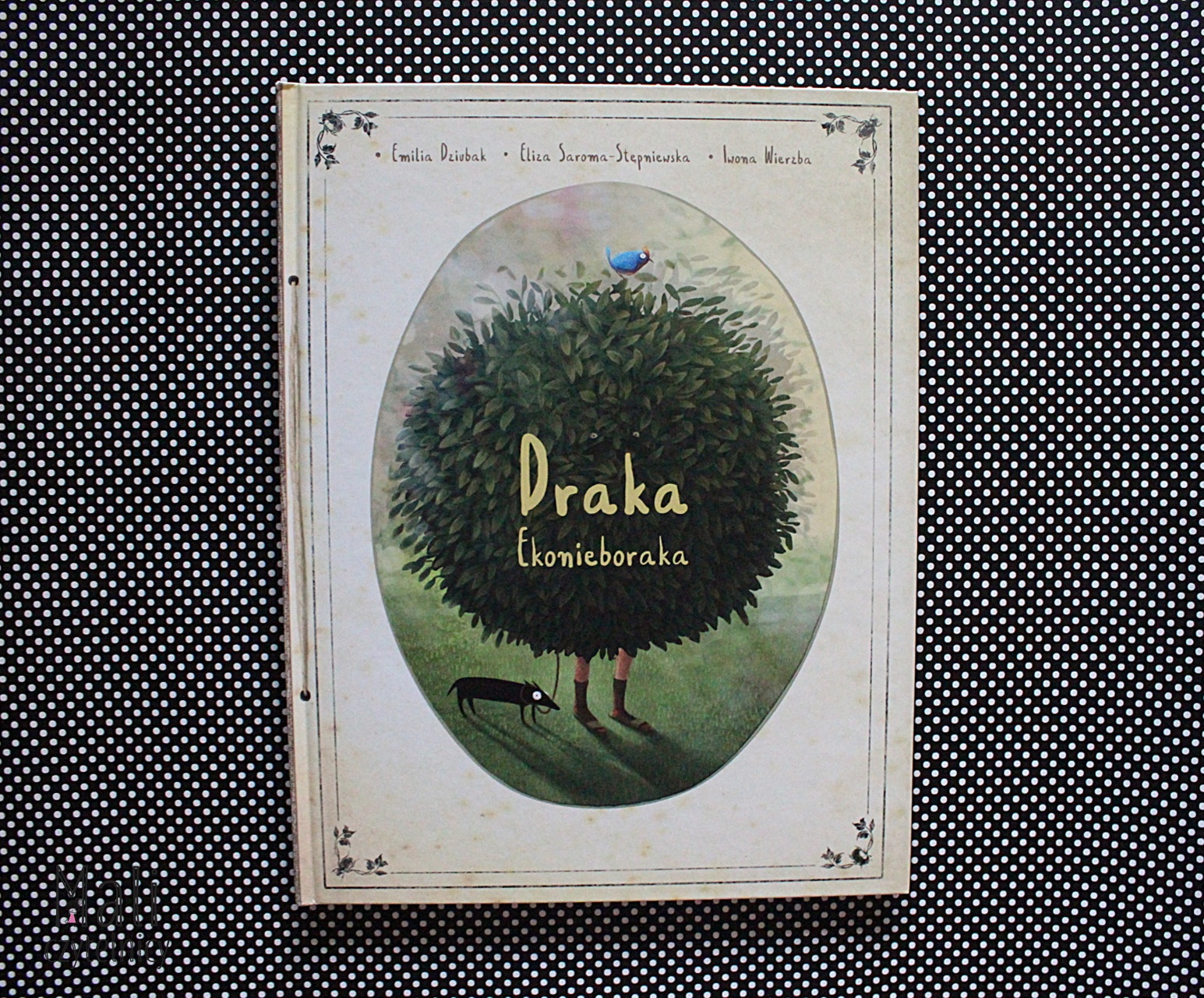Draka Ekonieboraka