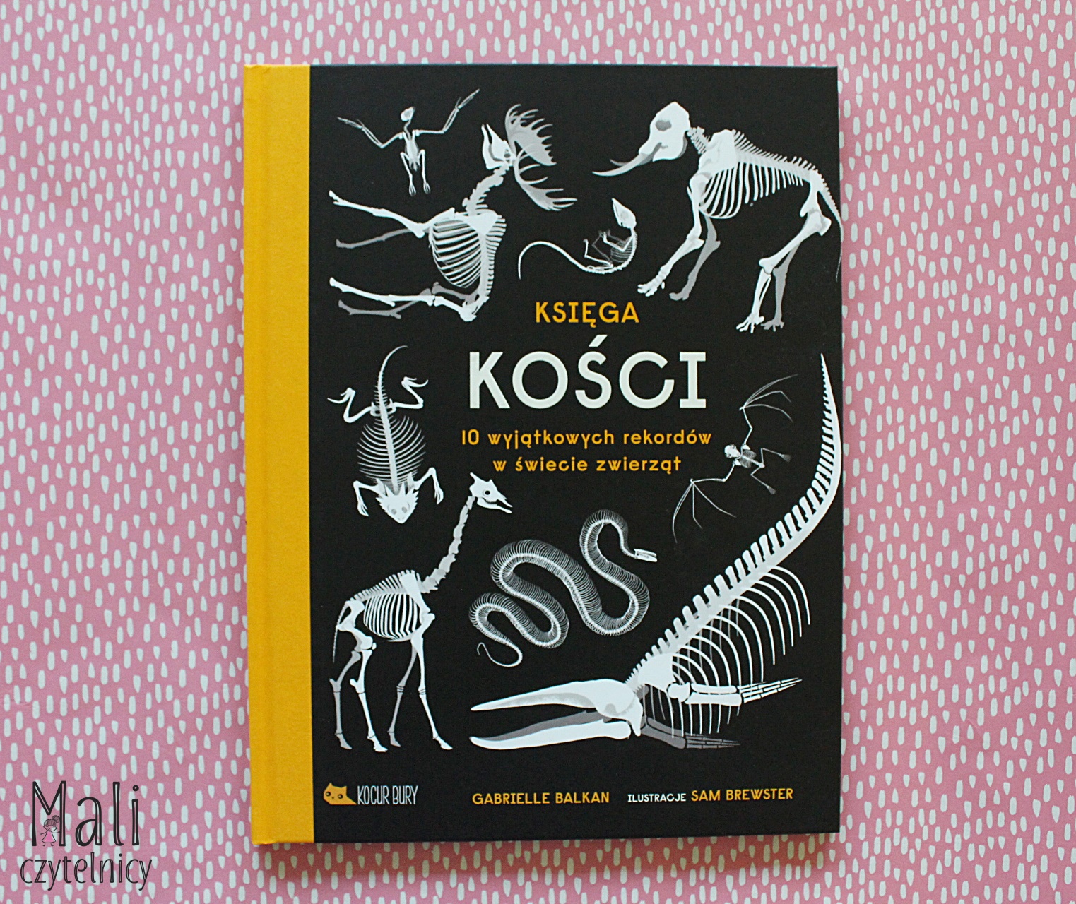 Księga kości. 10 wyjątkowych rekordów w świecie zwierząt