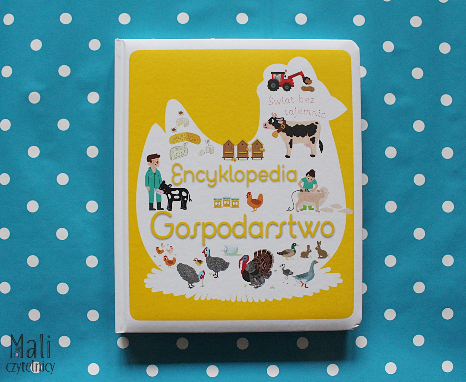 Świat bez tajemnic. Encyklopedia gospodarstwo