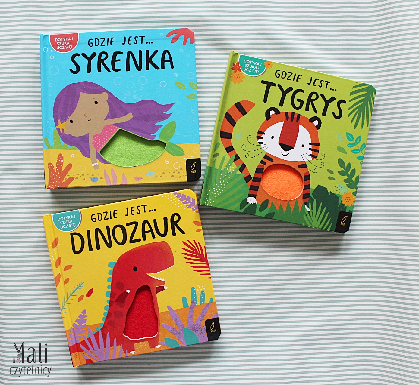 Gdzie jest… dinozaur / Gdzie jest… syrenka / Gdzie jest… tygrys