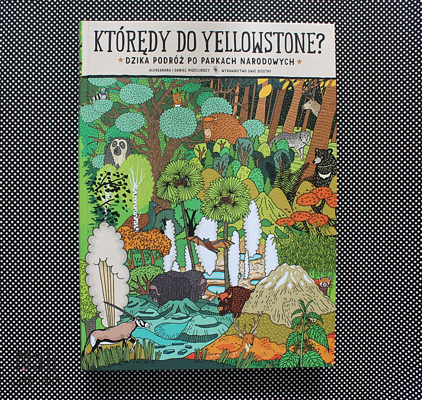 Którędy do Yellowstone? Dzika podróż po parkach narodowych