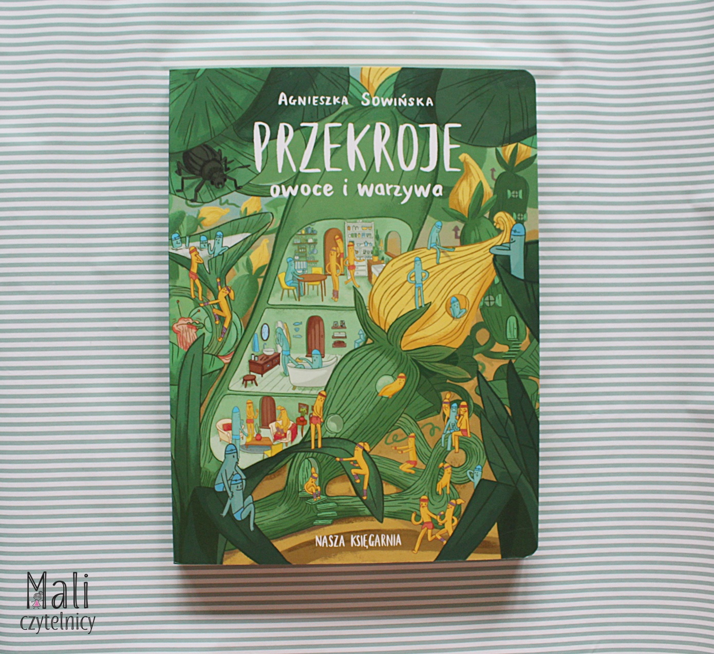 Przekroje: owoce i warzywa
