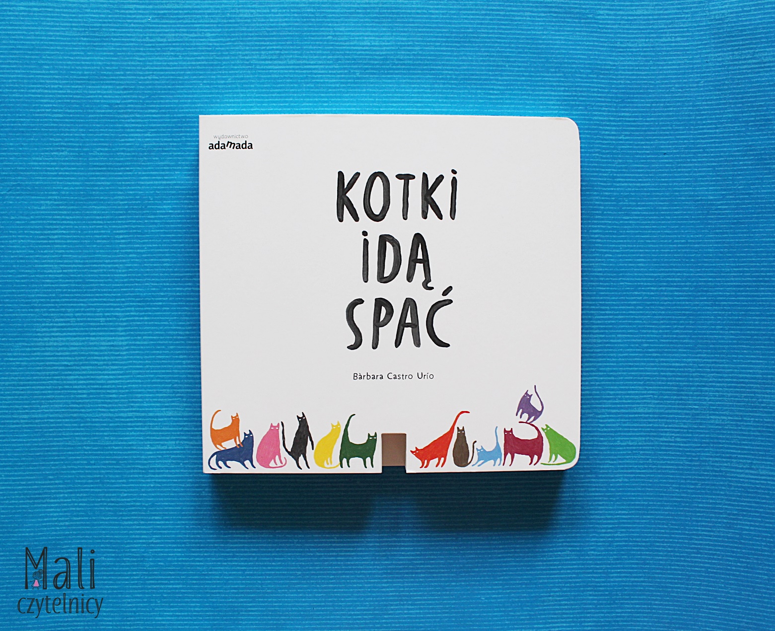 Kotki idą spać