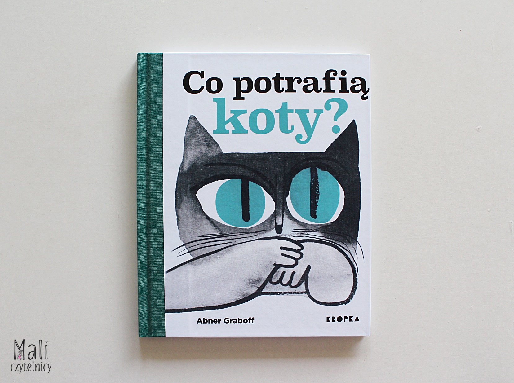 Co potrafią koty?
