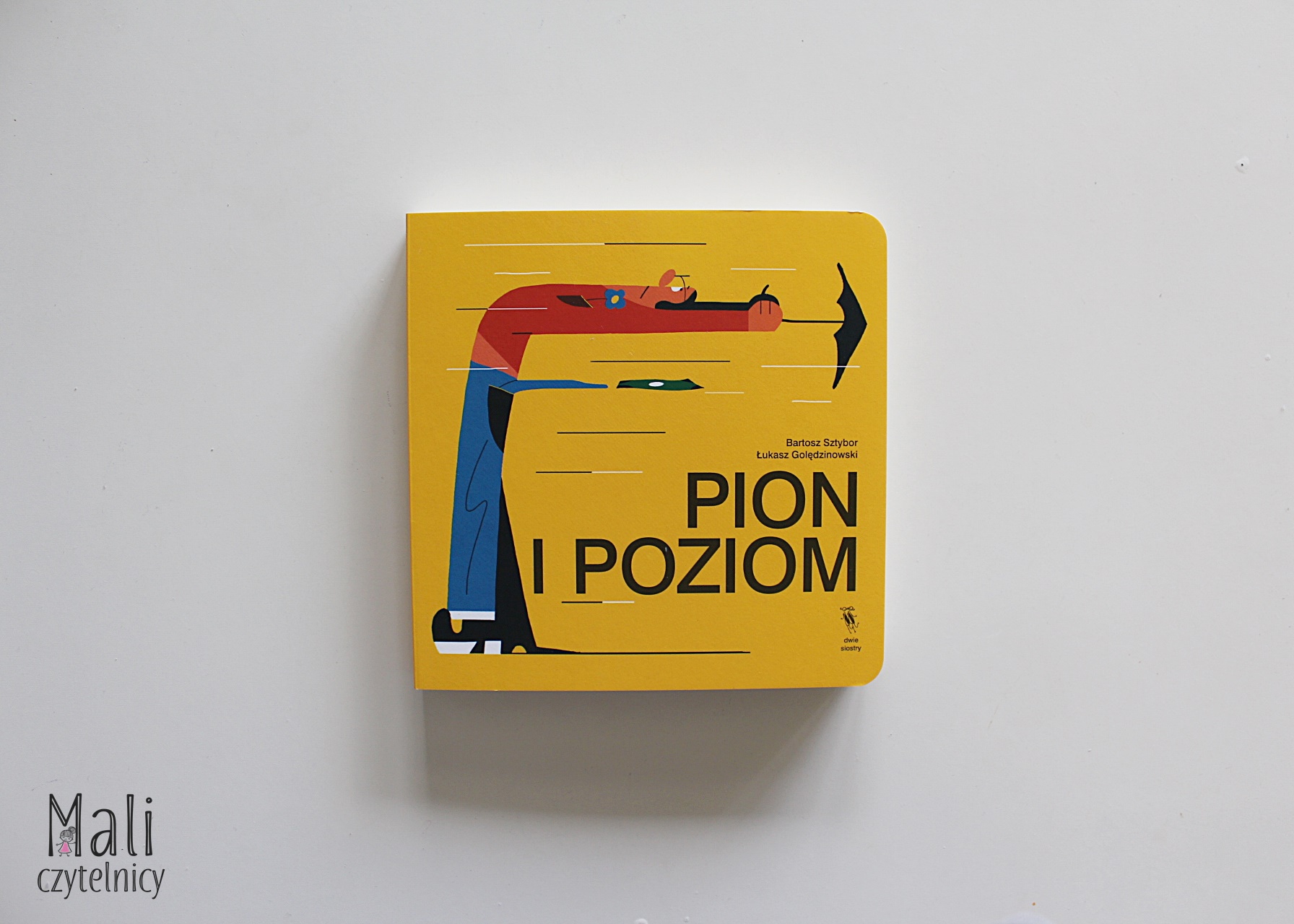 Pion i poziom