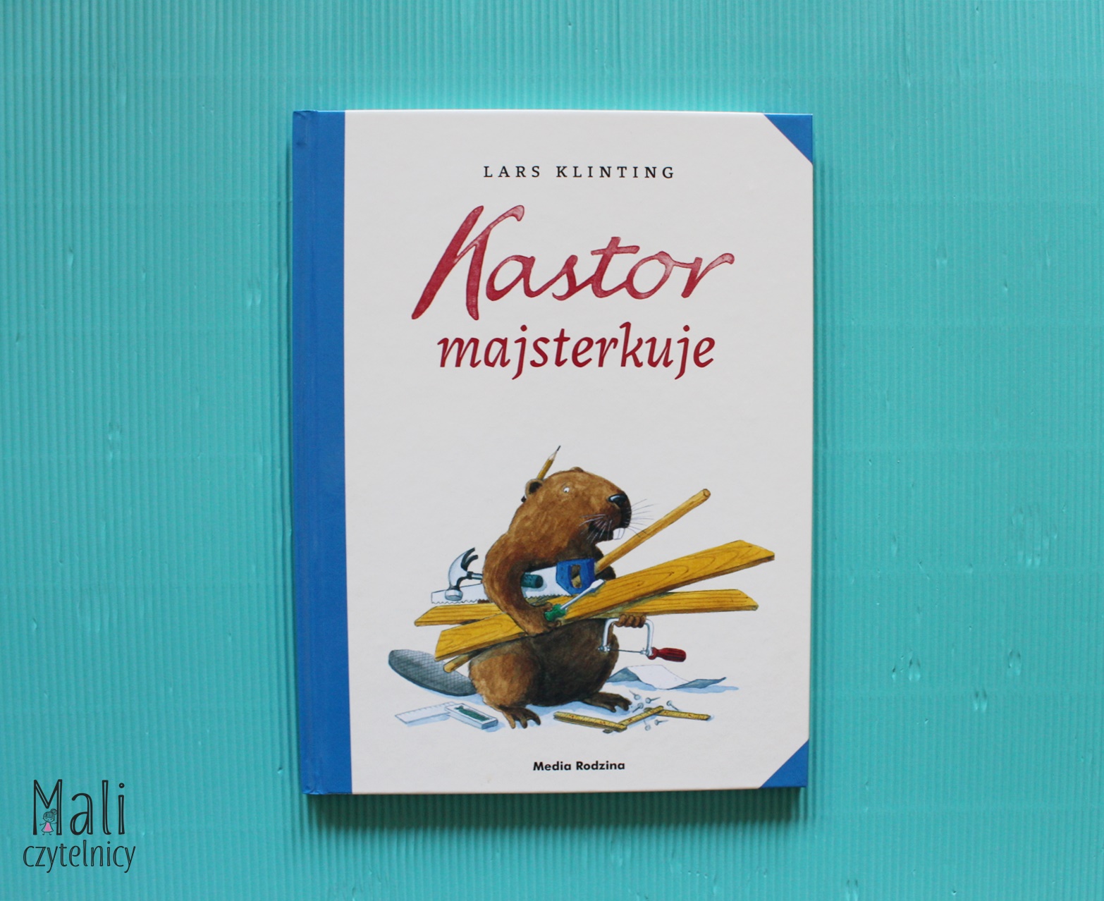 Kastor majsterkuje