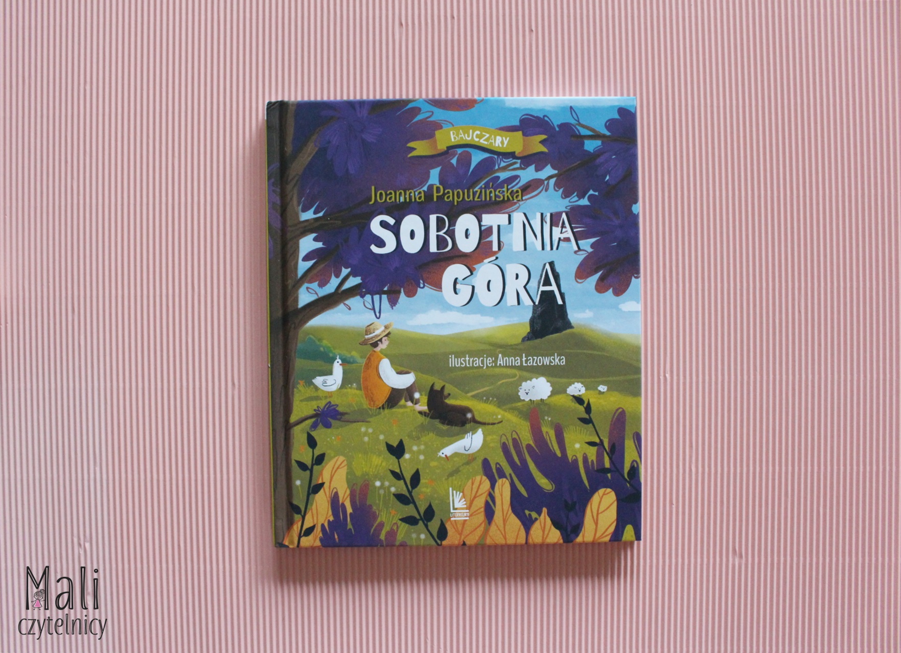 Sobotnia góra – Patronat