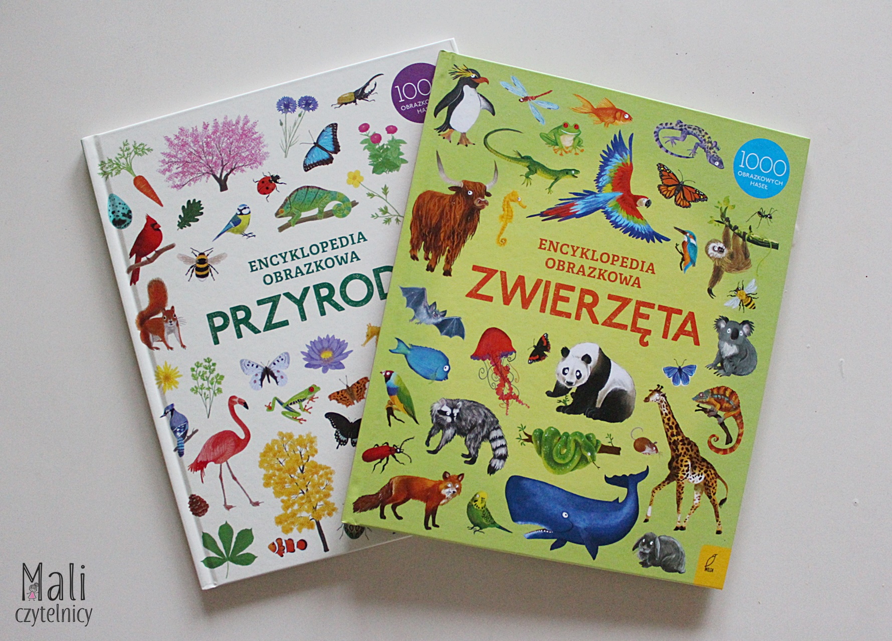 Encyklopedia obrazkowa Przyroda / Zwierzęta
