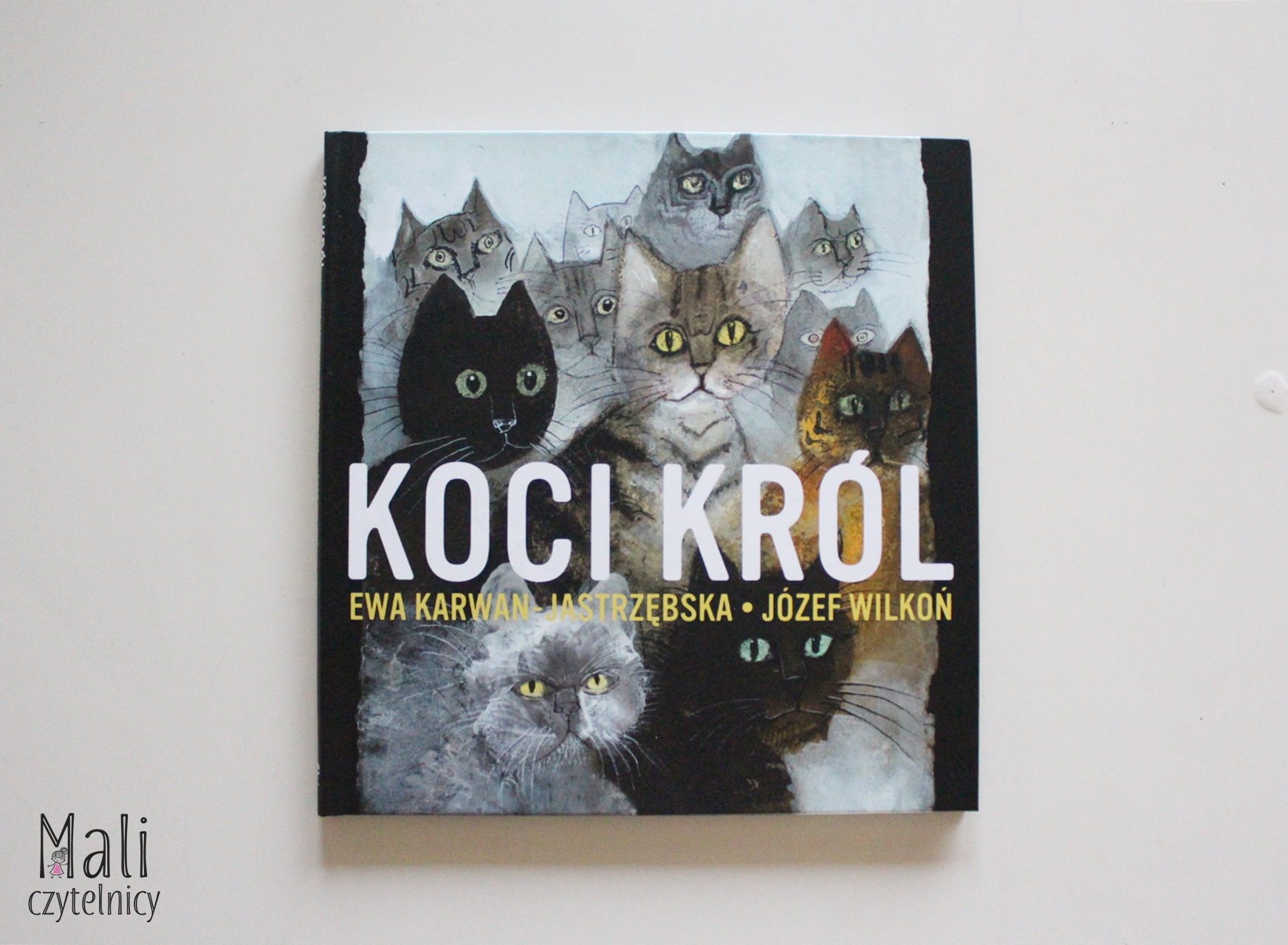 Koci król