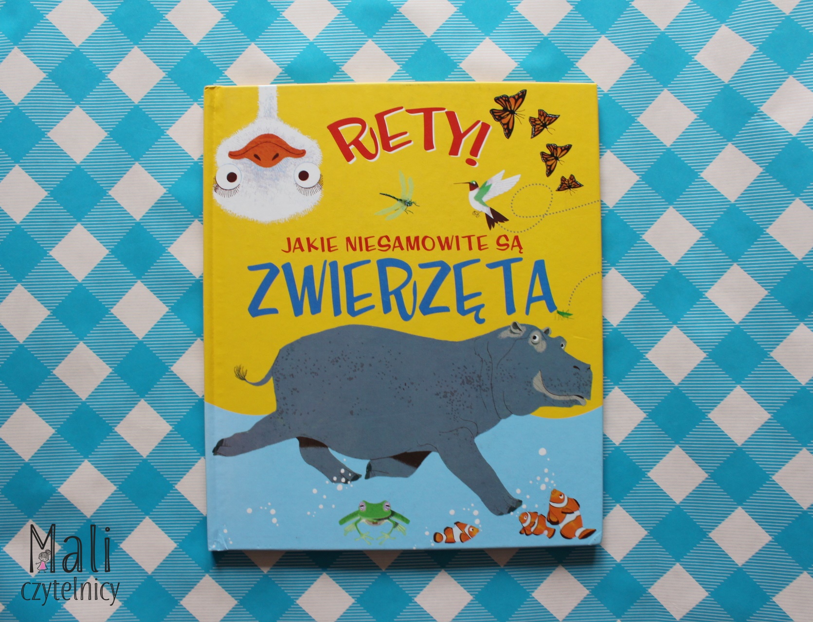 Rety! Jakie niesamowite są zwierzęta