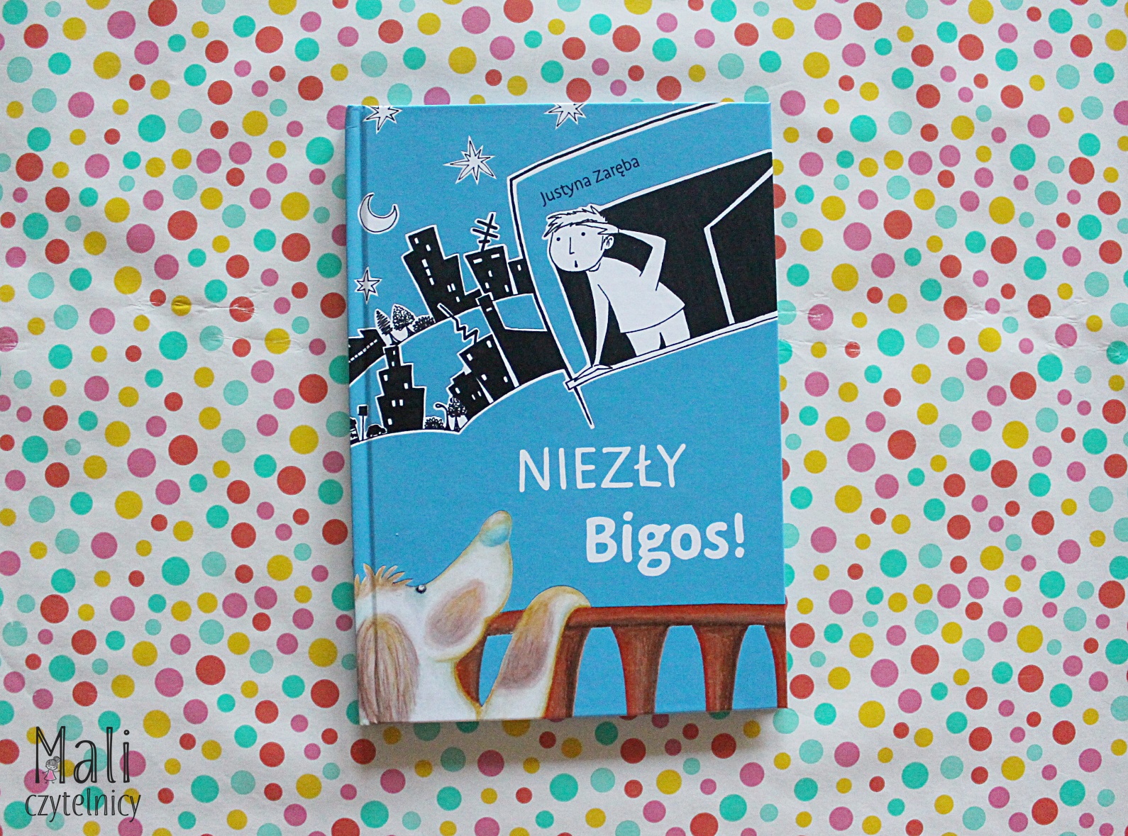 Niezły Bigos