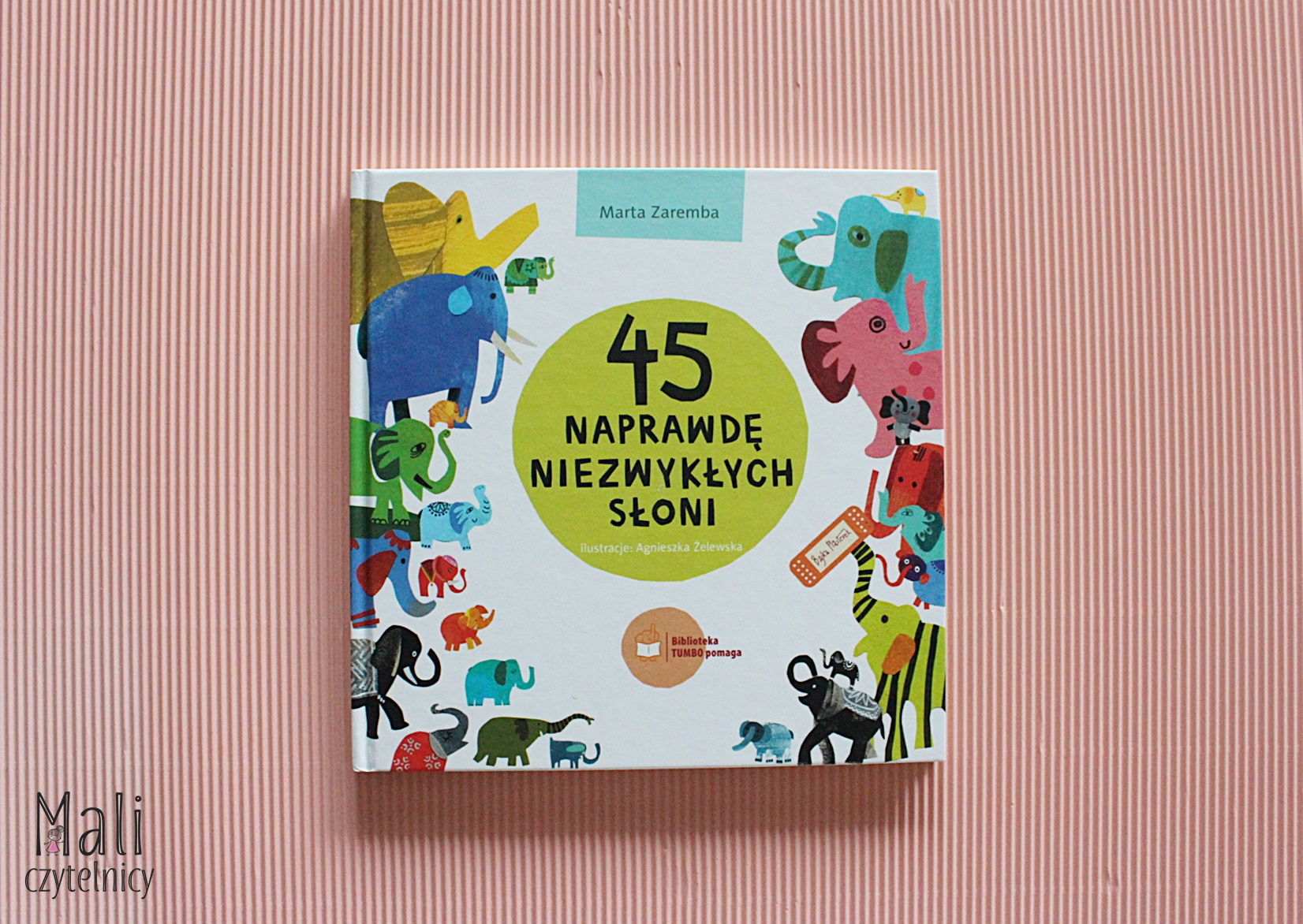 45 naprawdę niezwykłych słoni