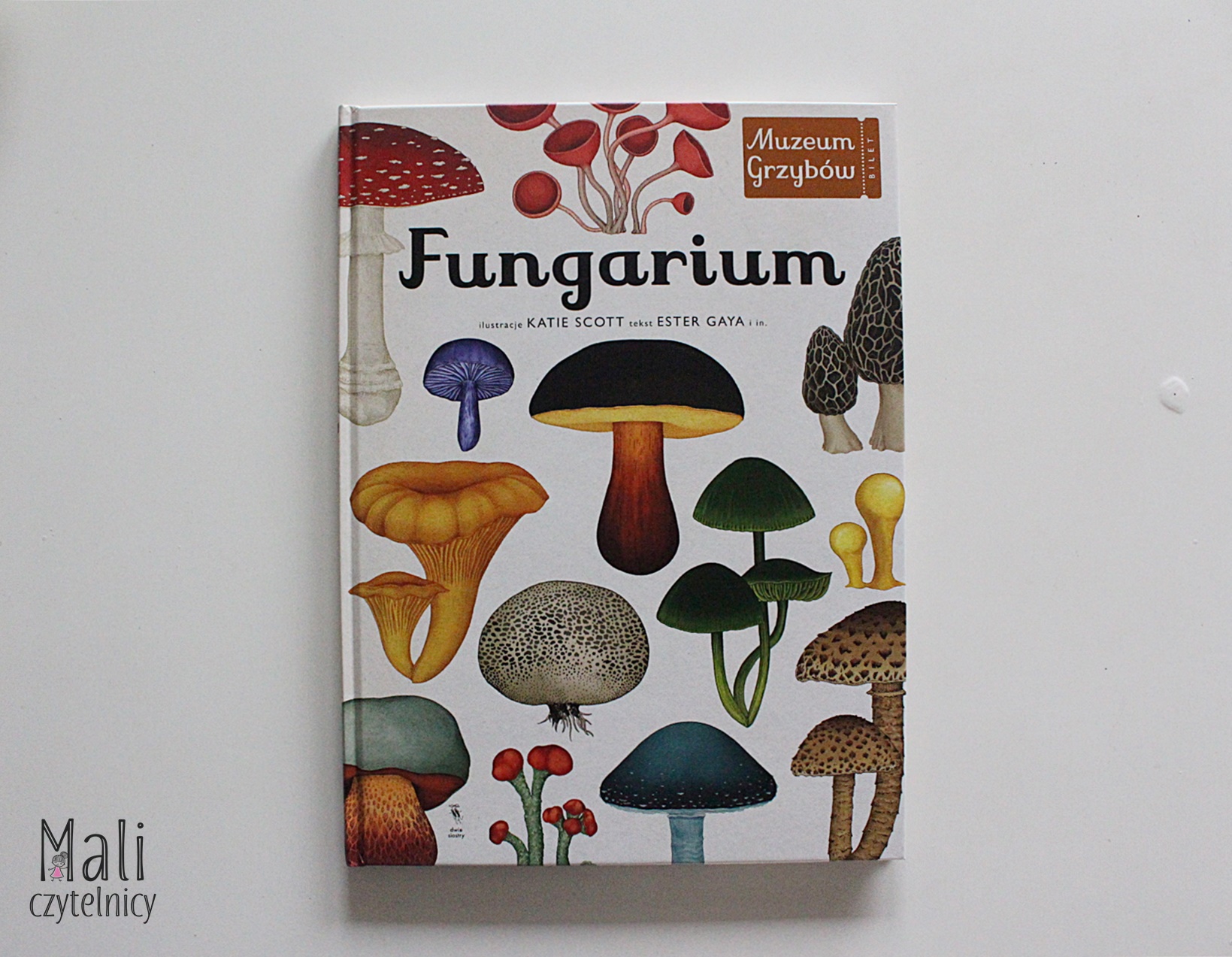 Fungarium. Muzeum grzybów