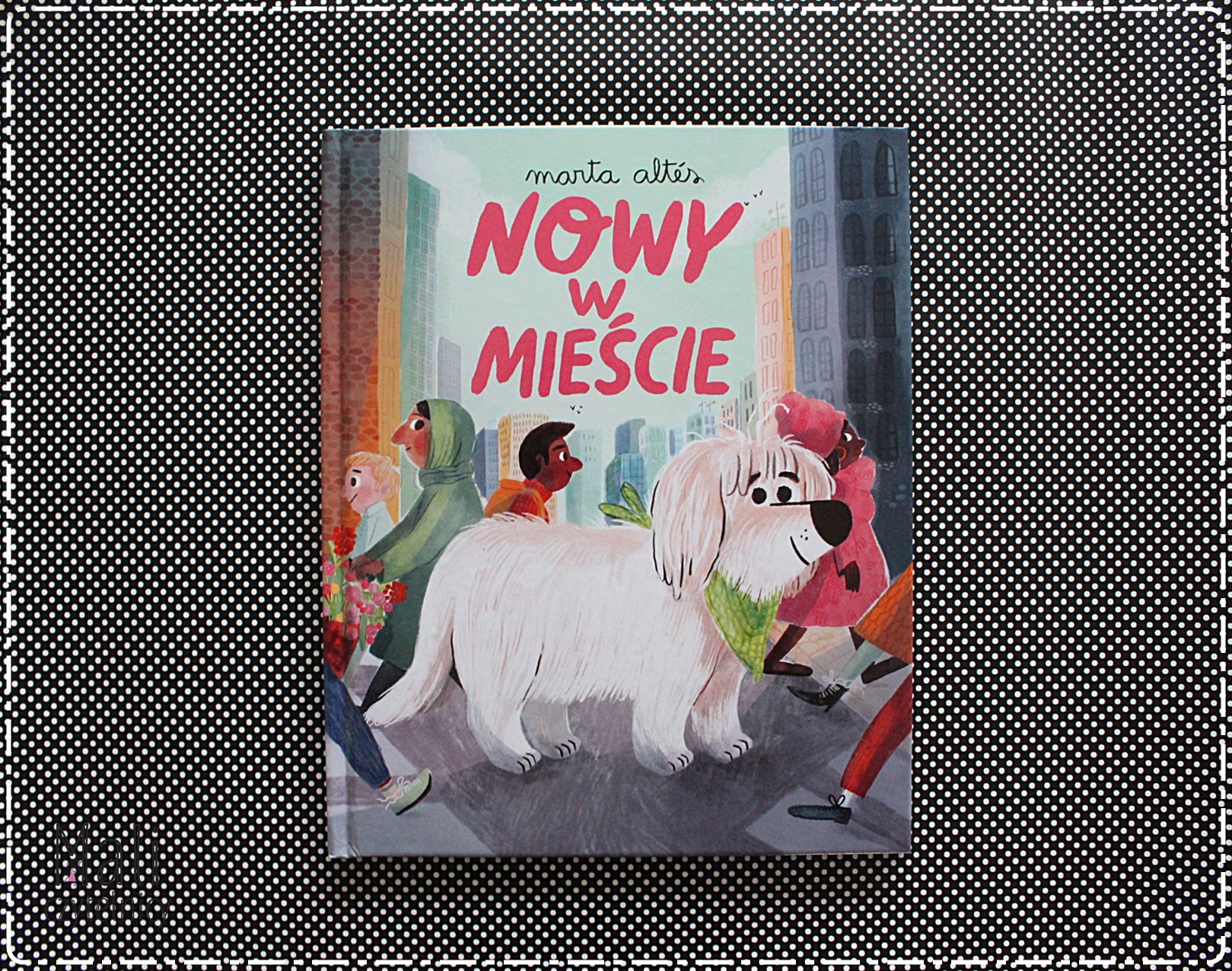 Nowy w mieście