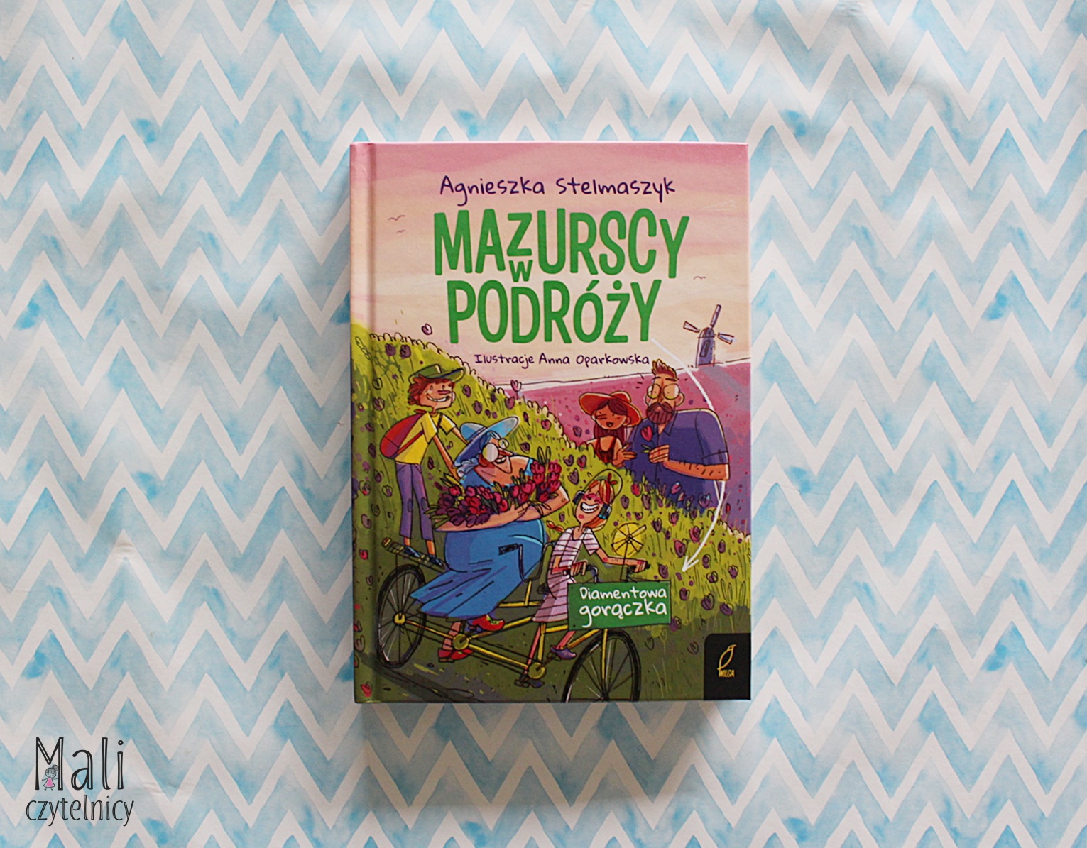 Mazurscy w podróży. Diamentowa gorączka. Tom 4
