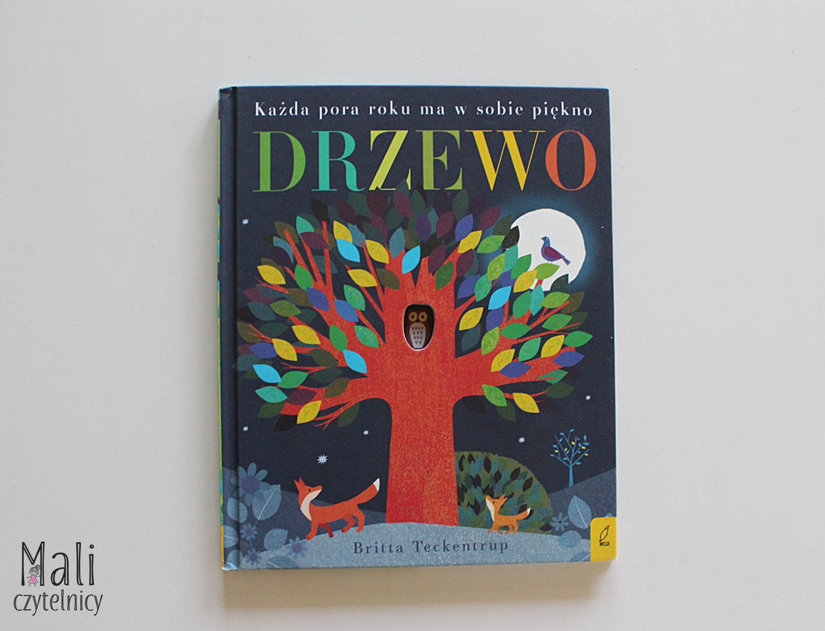 Drzewo