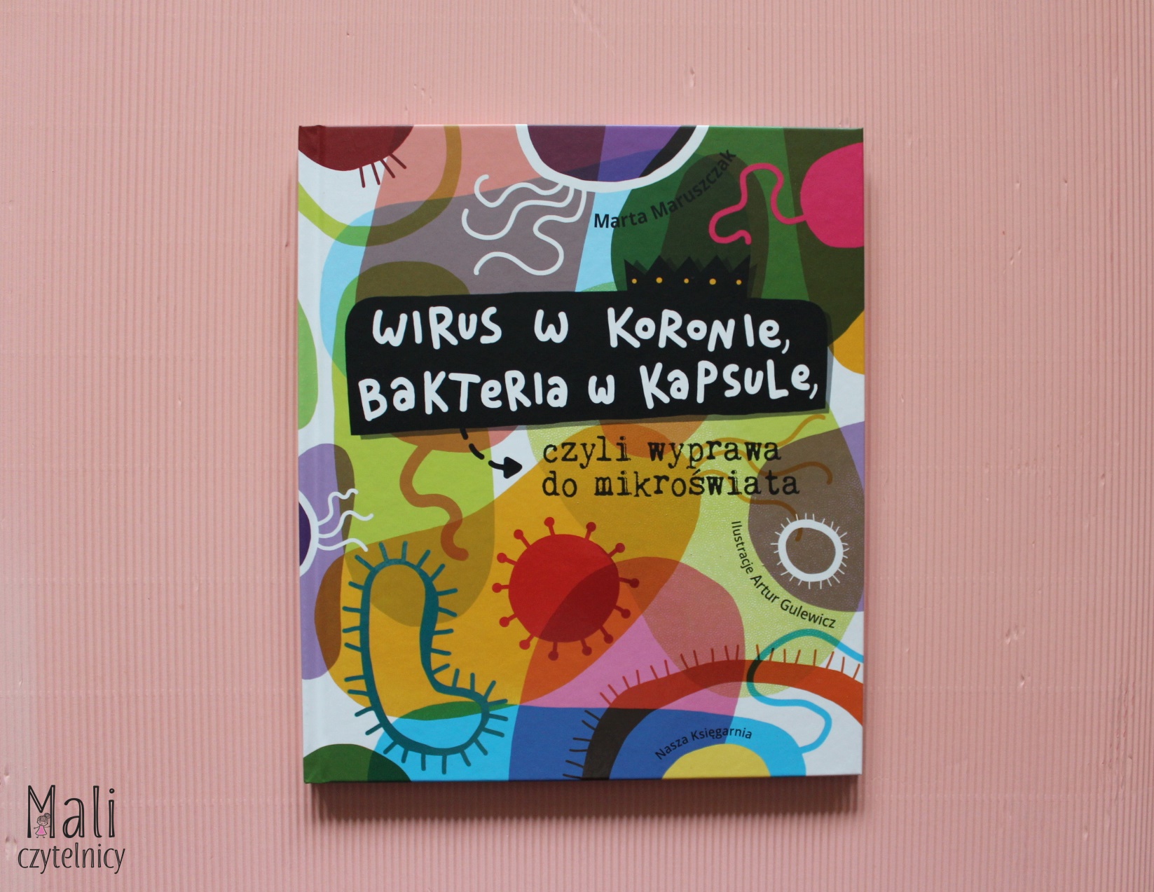 Wirus w koronie, bakteria w kapsule, czyli wyprawa do mikroświata