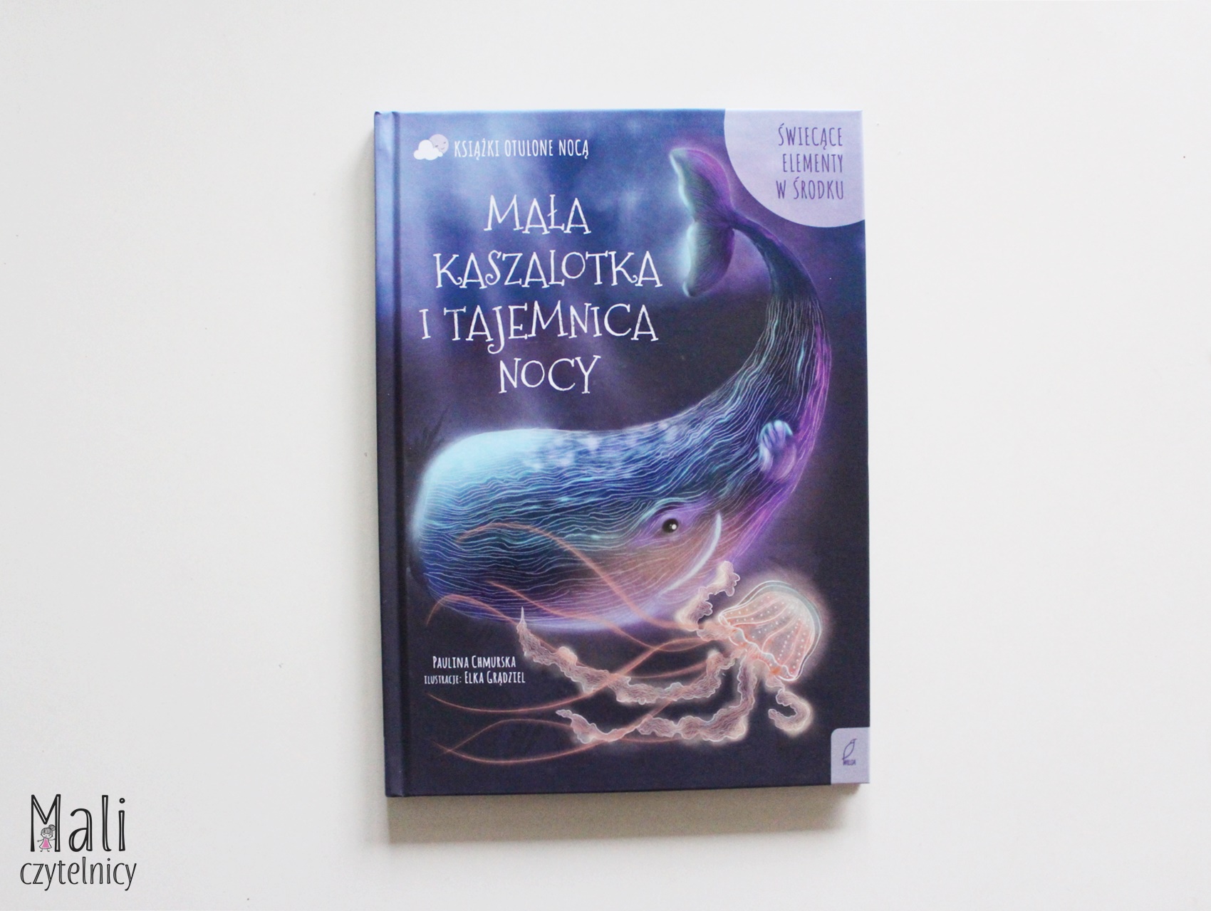 Mała kaszalotka i tajemnica nocy
