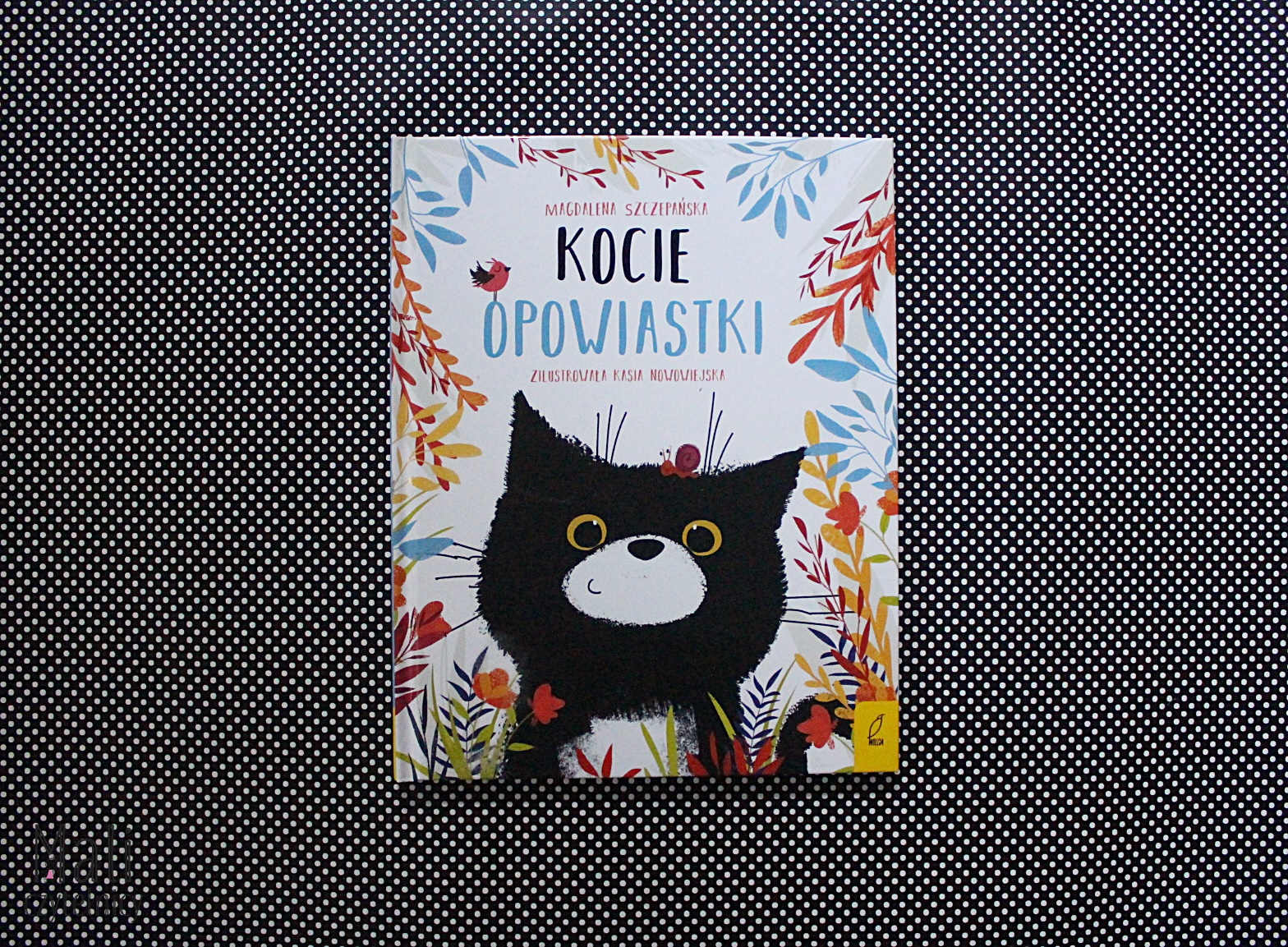 Kocie opowiastki