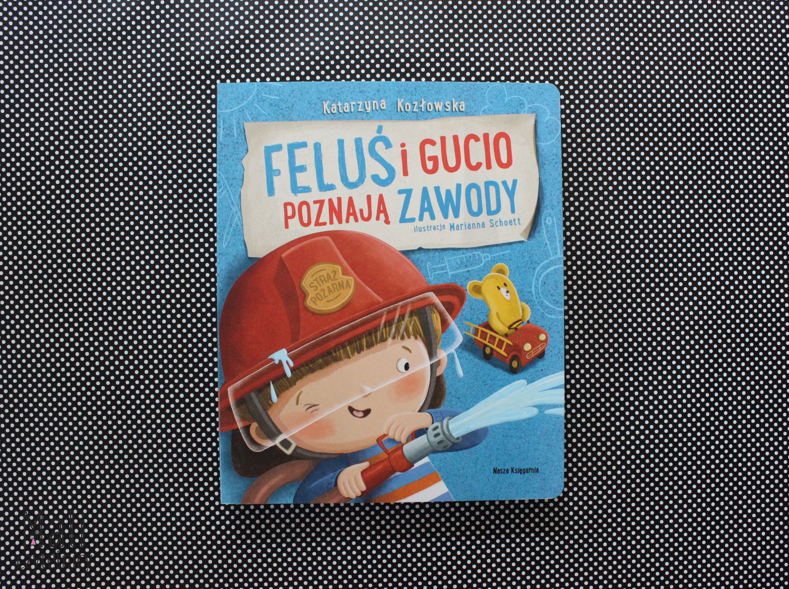 Feluś i Gucio poznają zawody