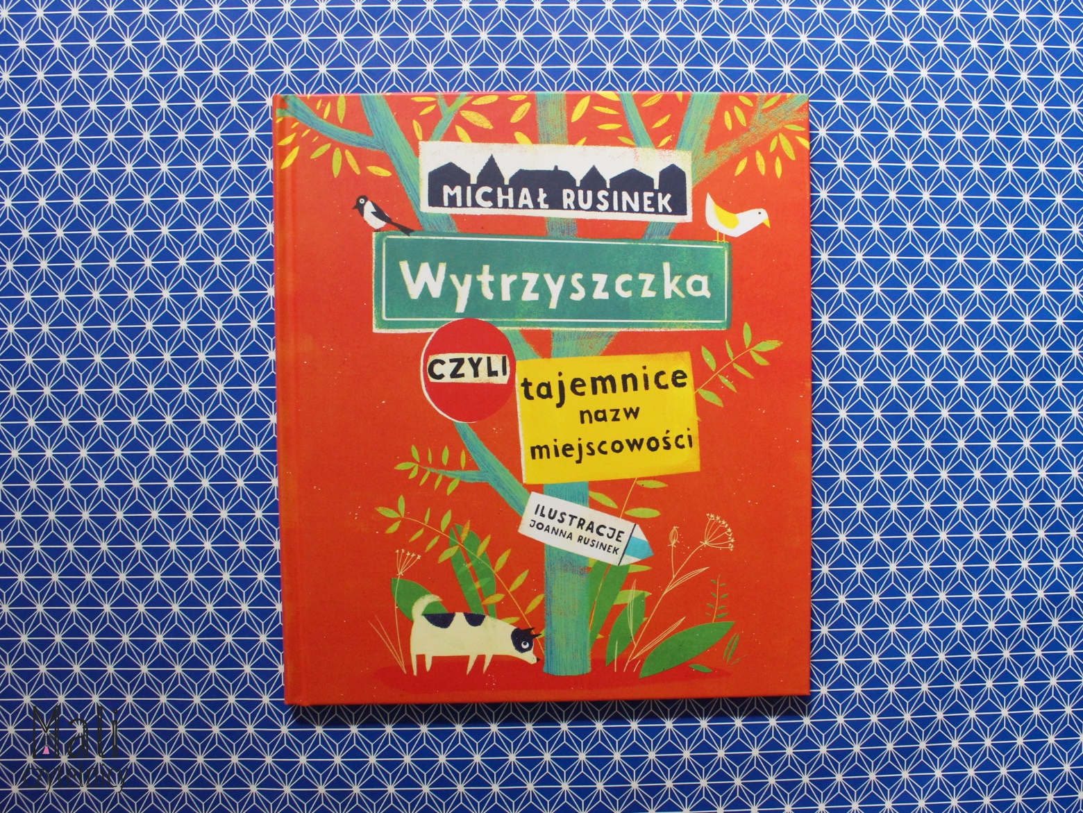 Wytrzyszczka, czyli tajemnice nazw miejscowości