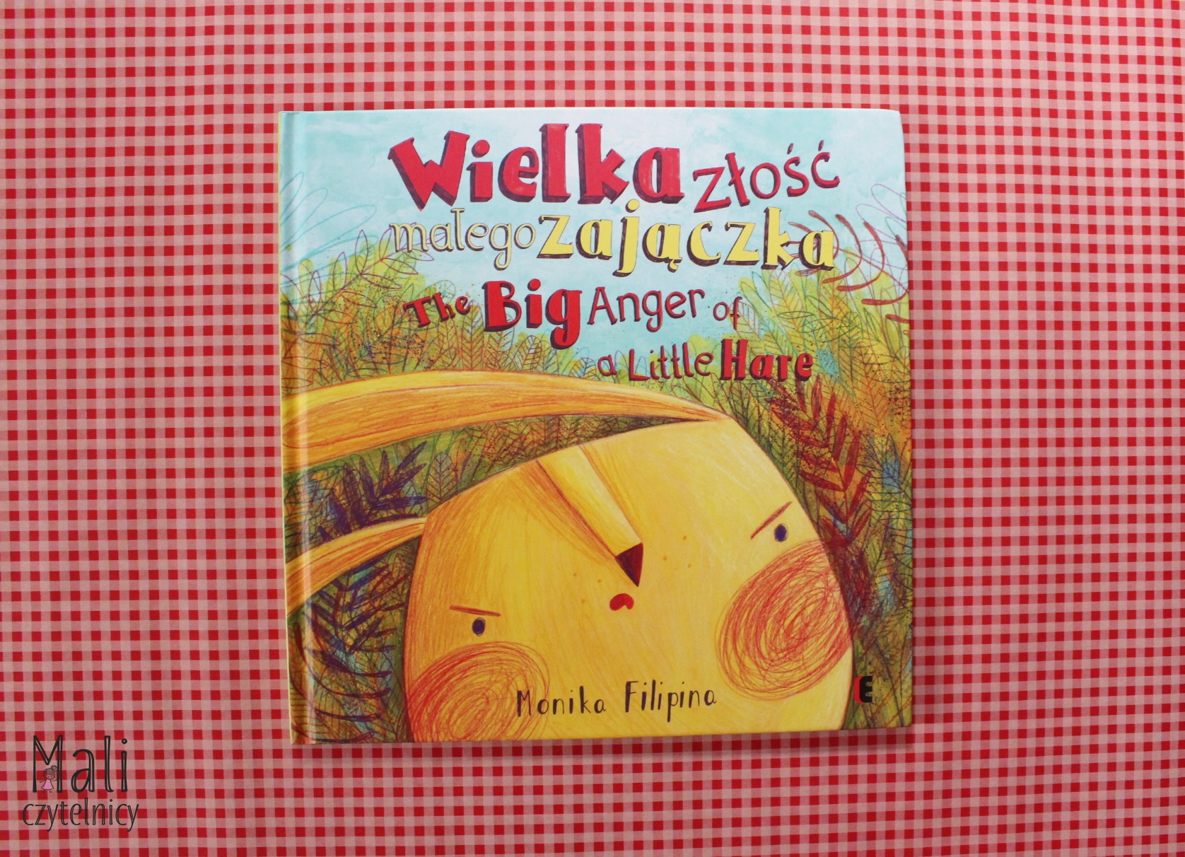 Wielka złość małego zajączka / The big anger of a little hare